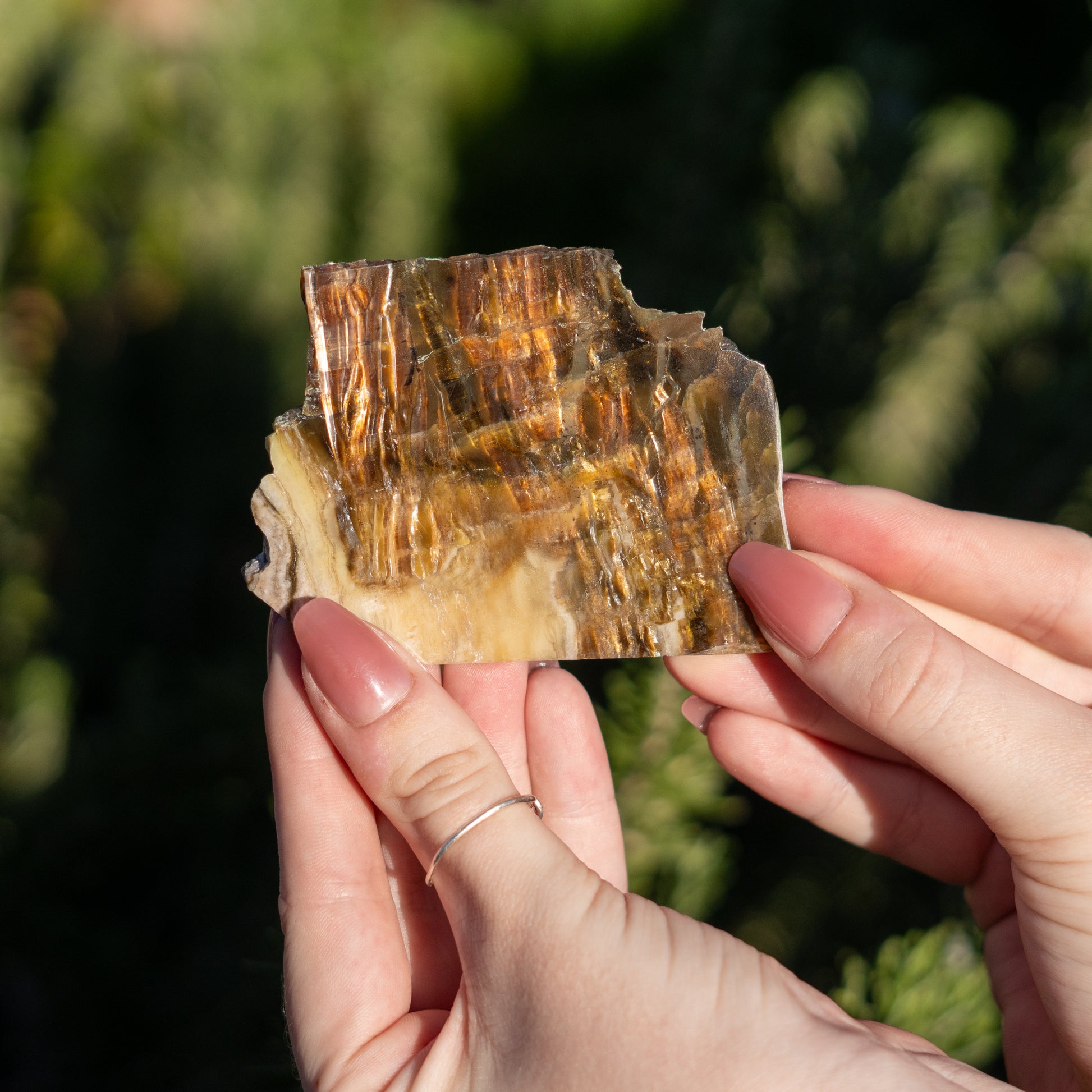 Pietersite from Arizona USA