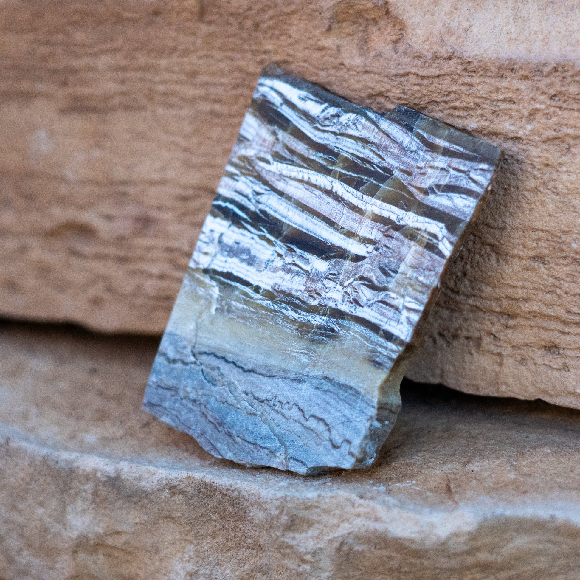 Pietersite from Arizona USA