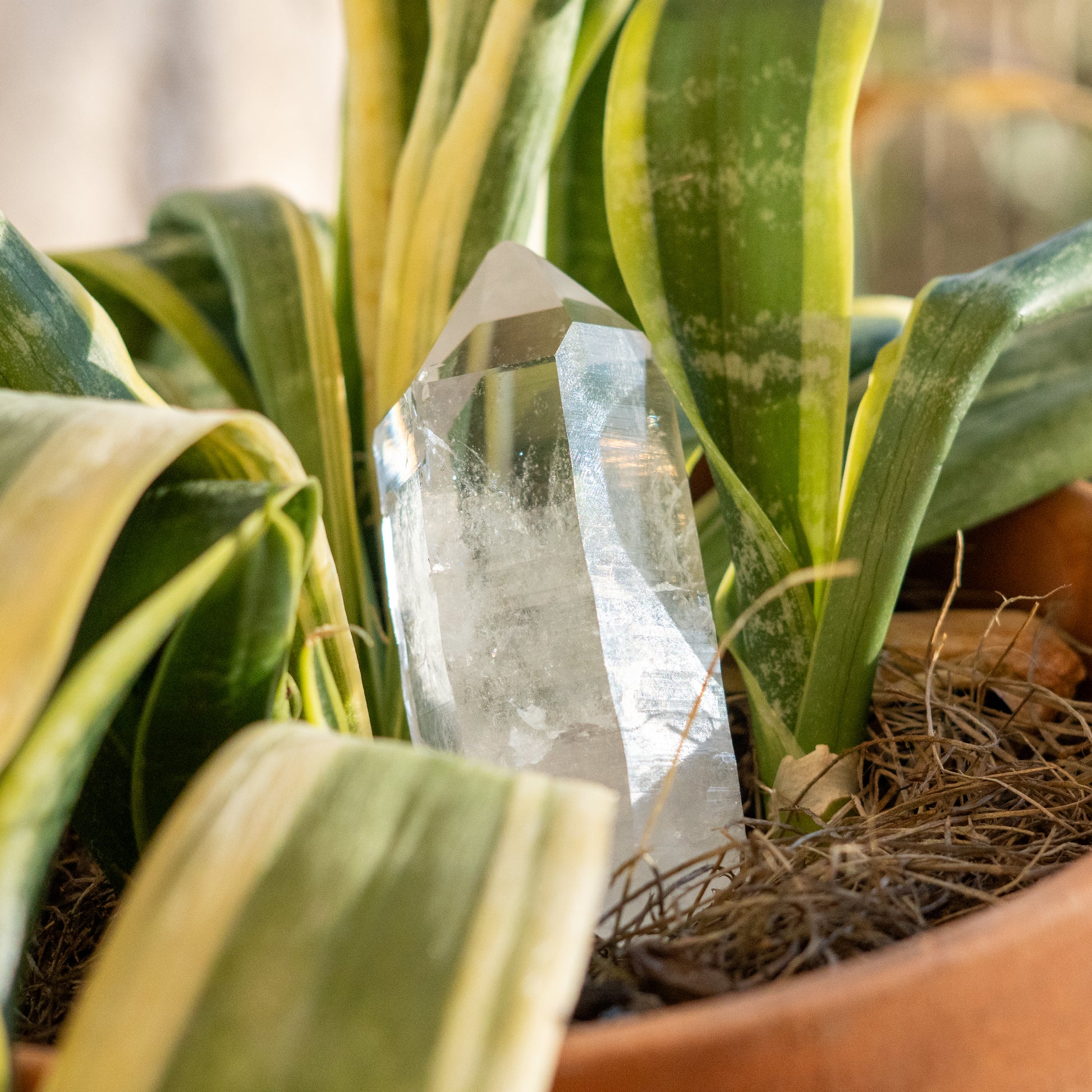Clear Quartz from Ron Coleman Mine, Arkansas USA