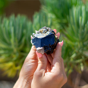 Natural Black Tourmaline Point with Smoky Quartz from Erongo Region, Namibia