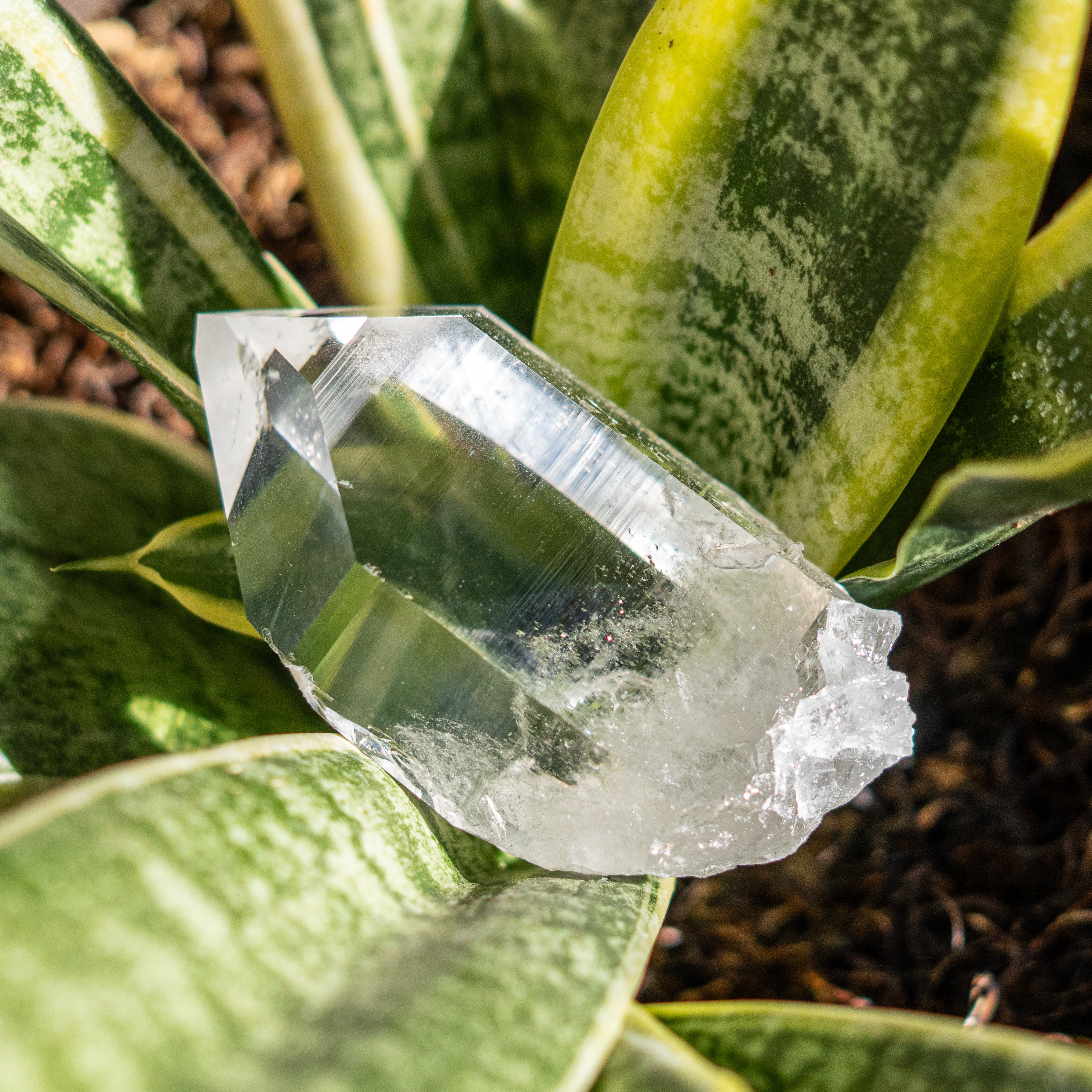 Clear Quartz from Ron Coleman Mine, Arkansas USA