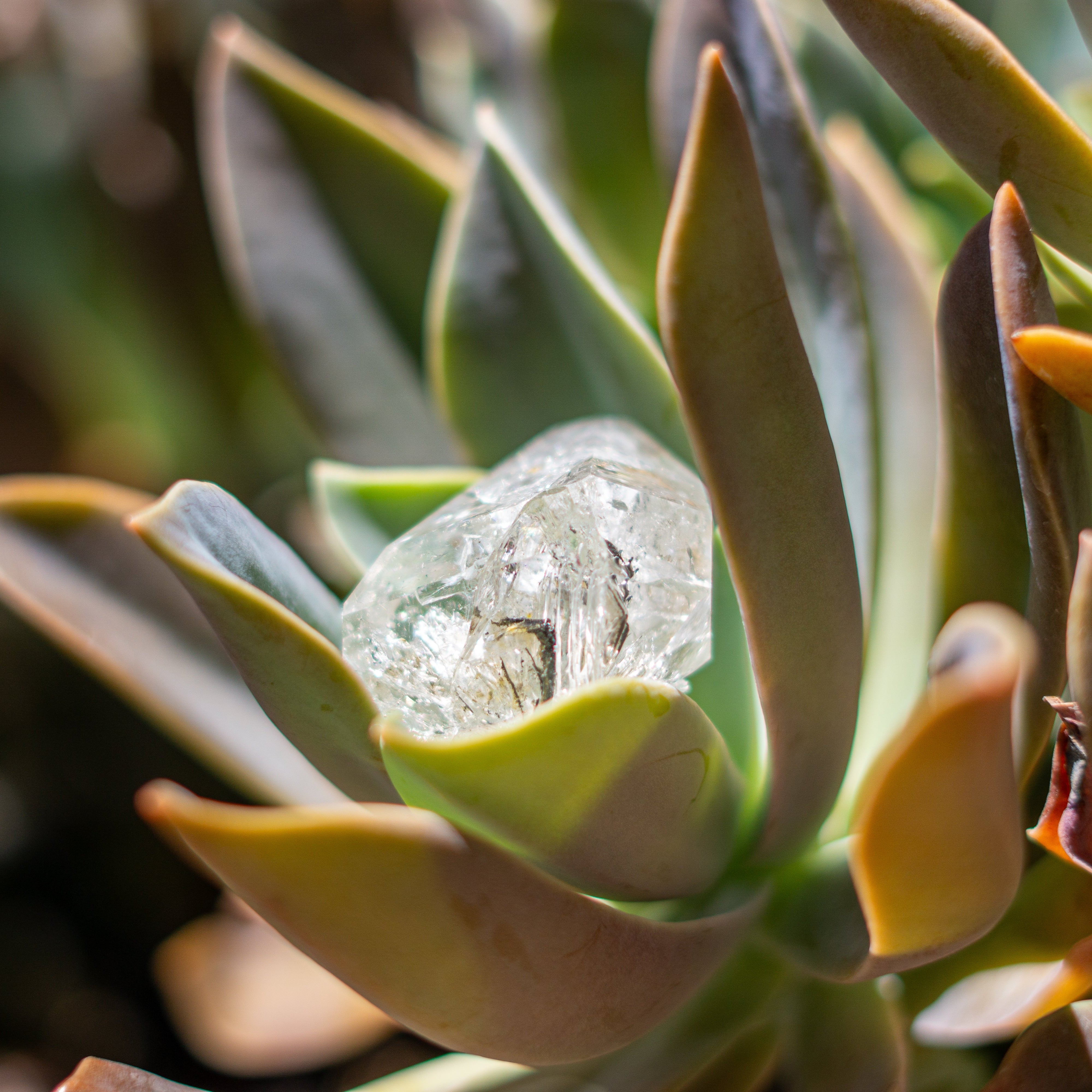 Double Terminated Herkimer Diamond Quartz with Phantoms