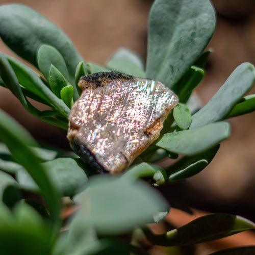 Rare Rainbow Lattice Sunstone from Australia - 27.9 Carats