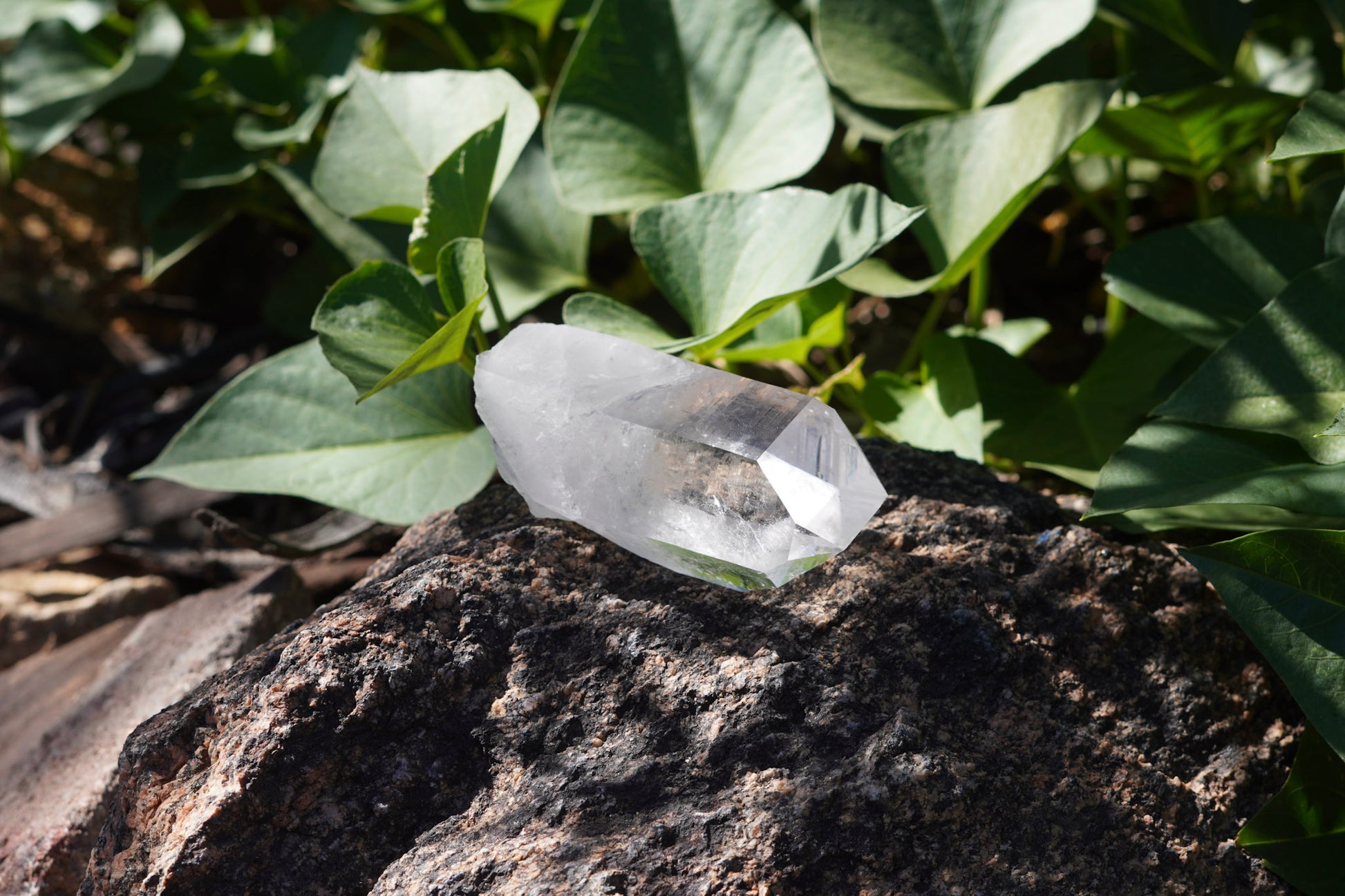 Ultra Clear Quartz Healing Crystals from Arkansas, USA - Medium Points