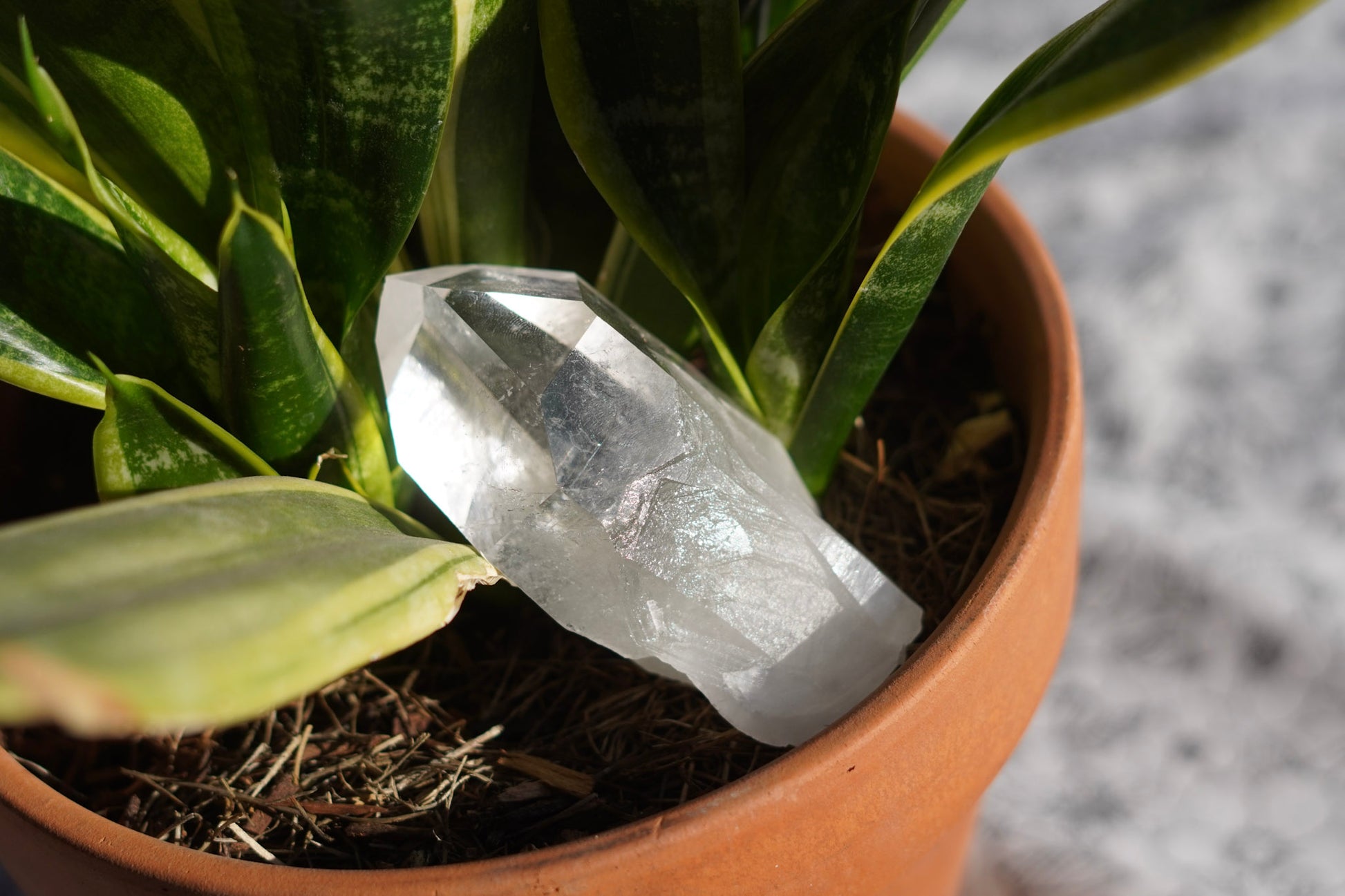 Ultra Clear Quartz Healing Crystals from Arkansas, USA - Medium Points
