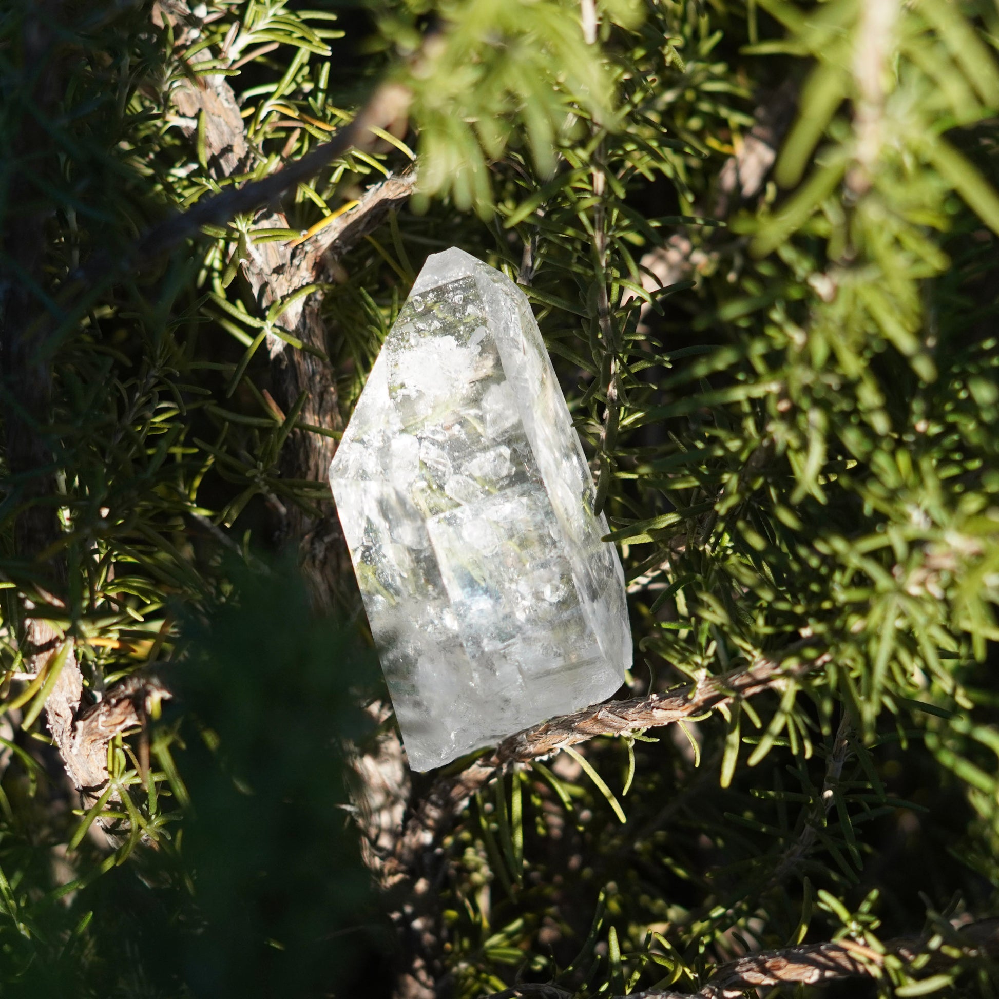 Ultra Clear Quartz Healing Crystals from Arkansas, USA - Medium Points