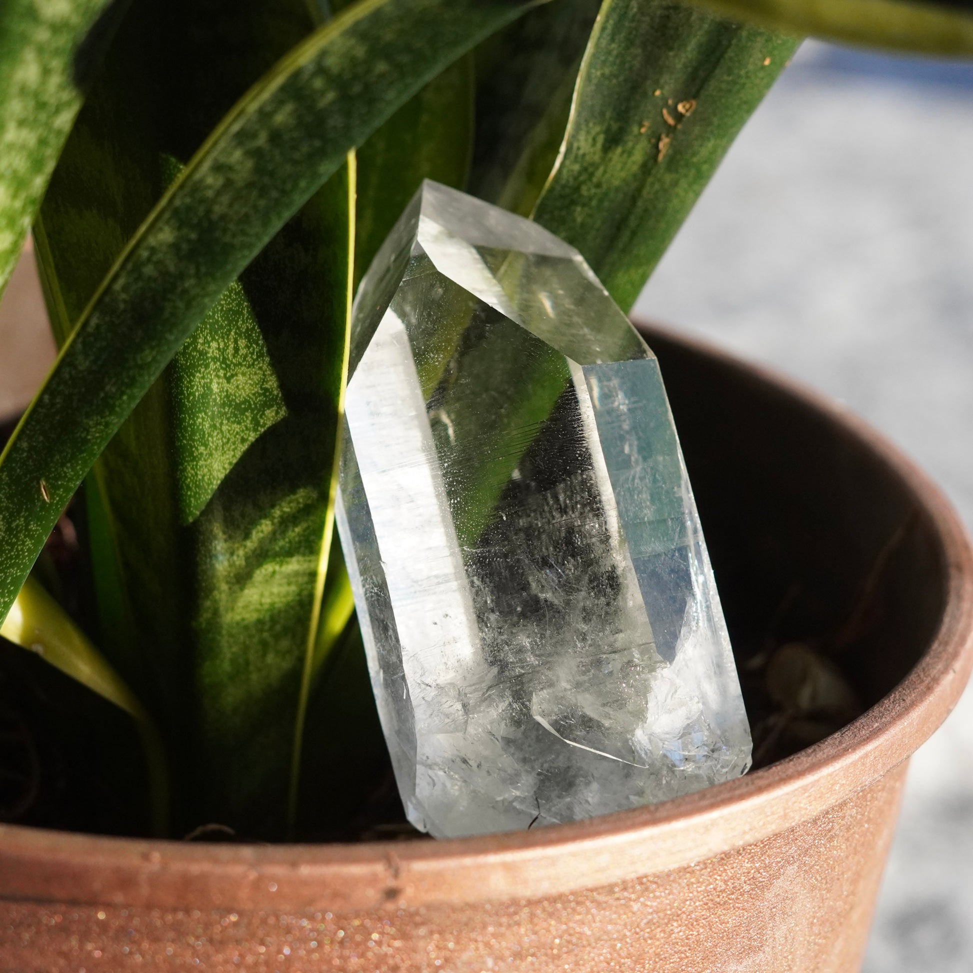 Ultra Clear Quartz Healing Crystals from Arkansas, USA - Medium Points