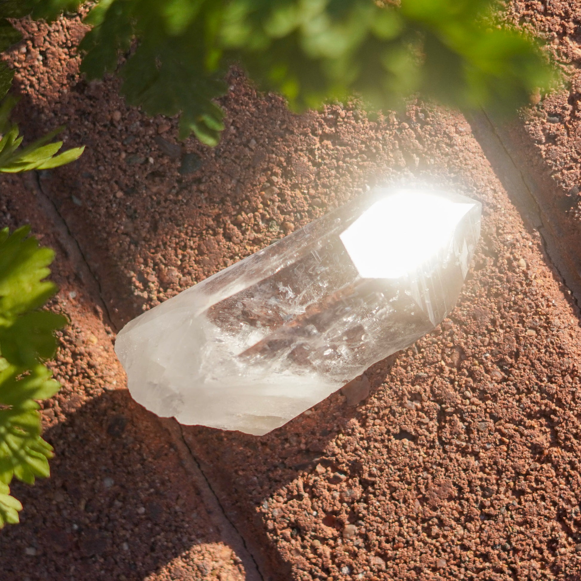 Ultra Clear Quartz Healing Crystals from Arkansas, USA - Medium Points