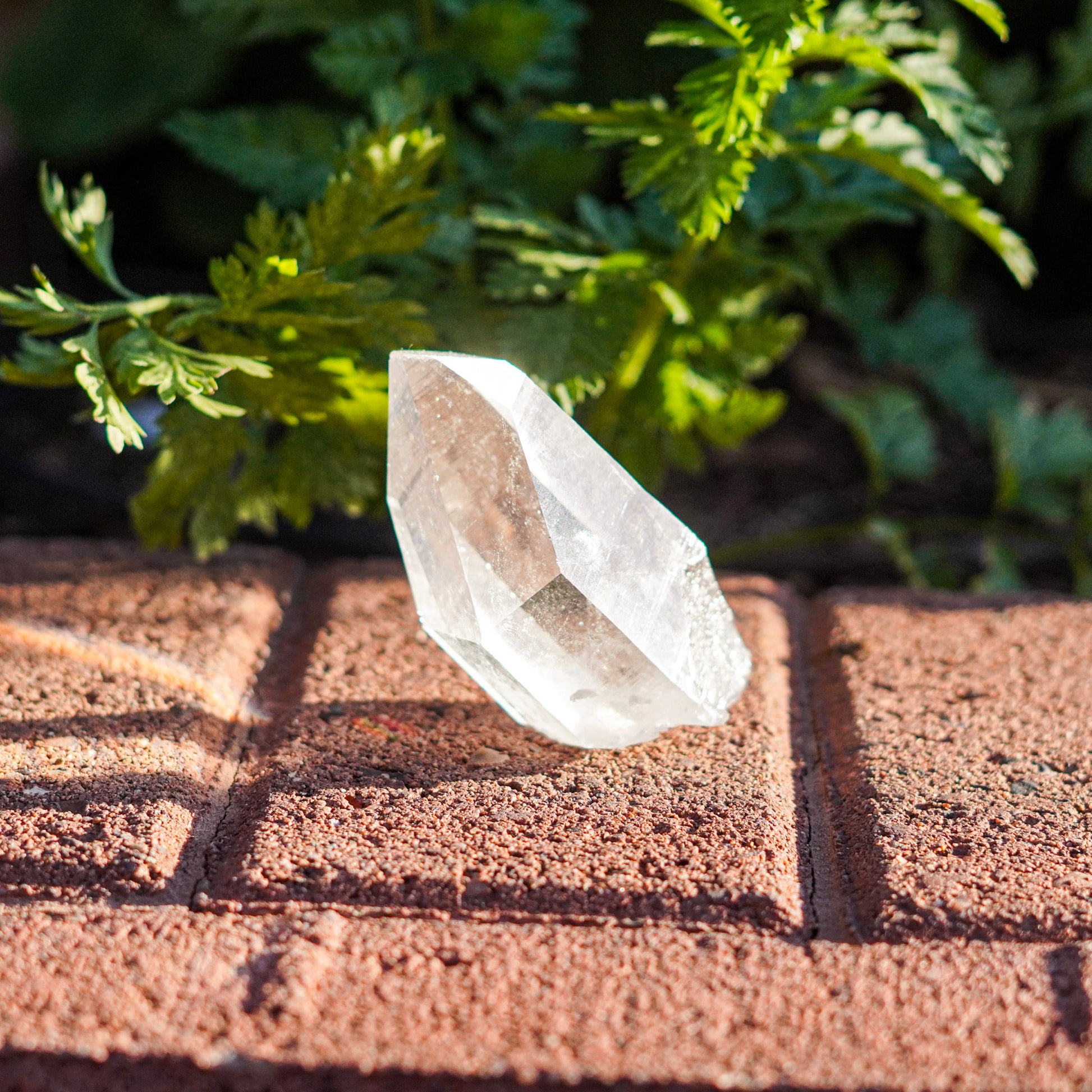 Ultra Clear Quartz Healing Crystals from Arkansas, USA - Medium Points