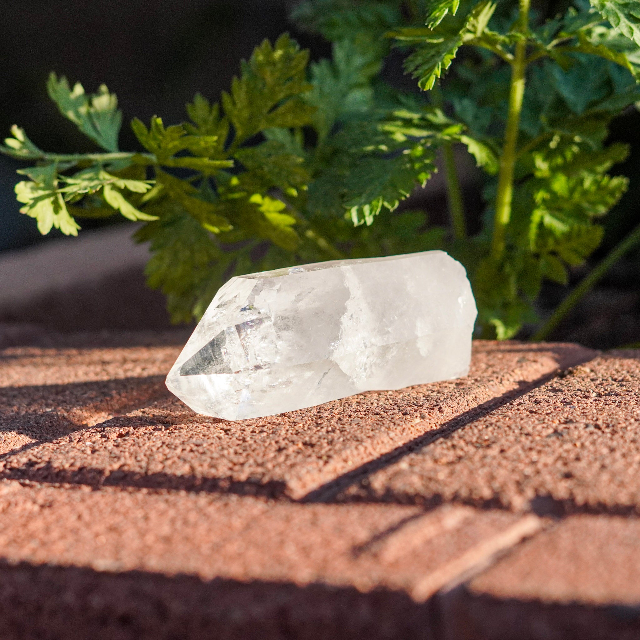 Ultra Clear Quartz Healing Crystals from Arkansas, USA - Medium Points
