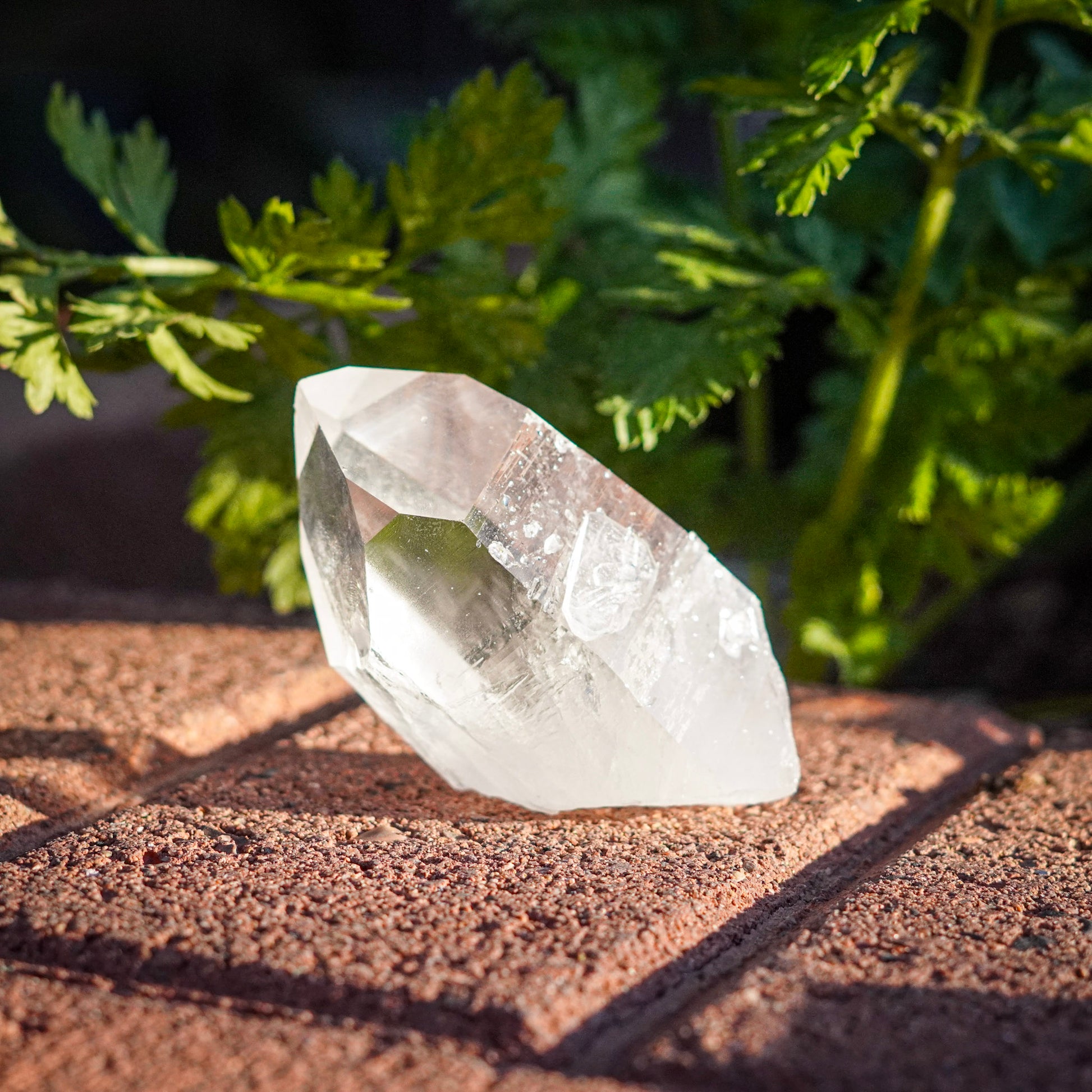 Ultra Clear Quartz Healing Crystals from Arkansas, USA - Medium Points
