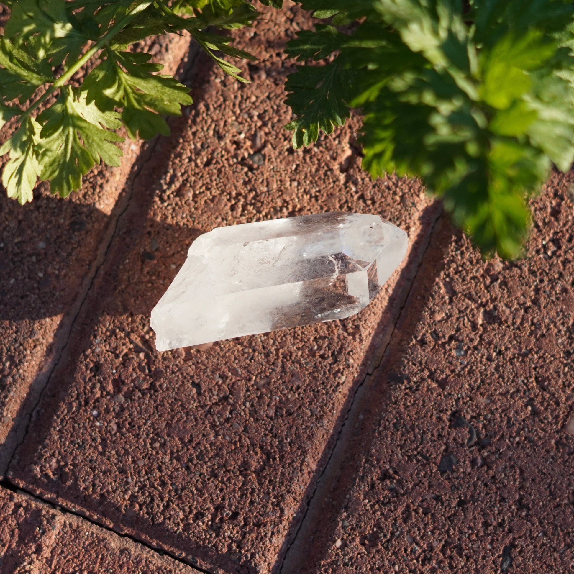 Ultra Clear Quartz Healing Crystals from Arkansas, USA - Medium Points