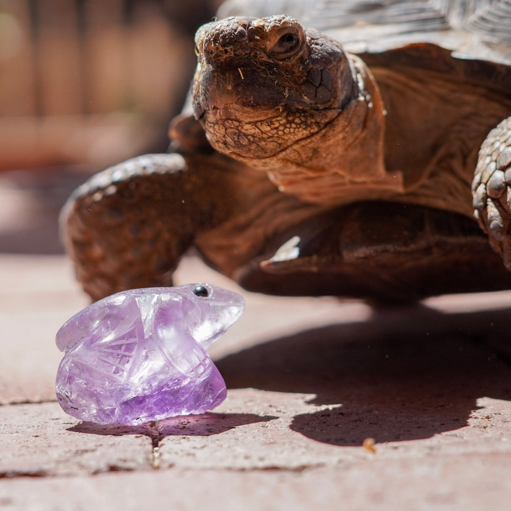 Amethyst Frog Crystal Carving