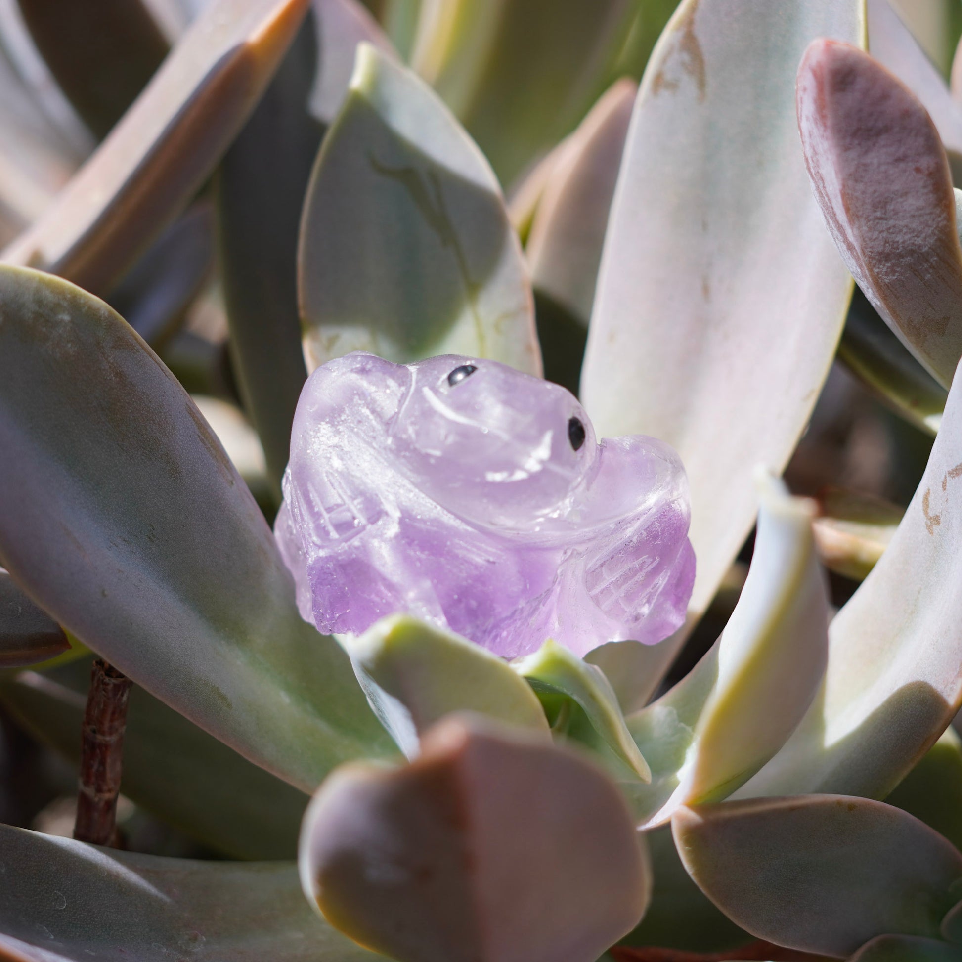 Amethyst Frog Crystal Carving