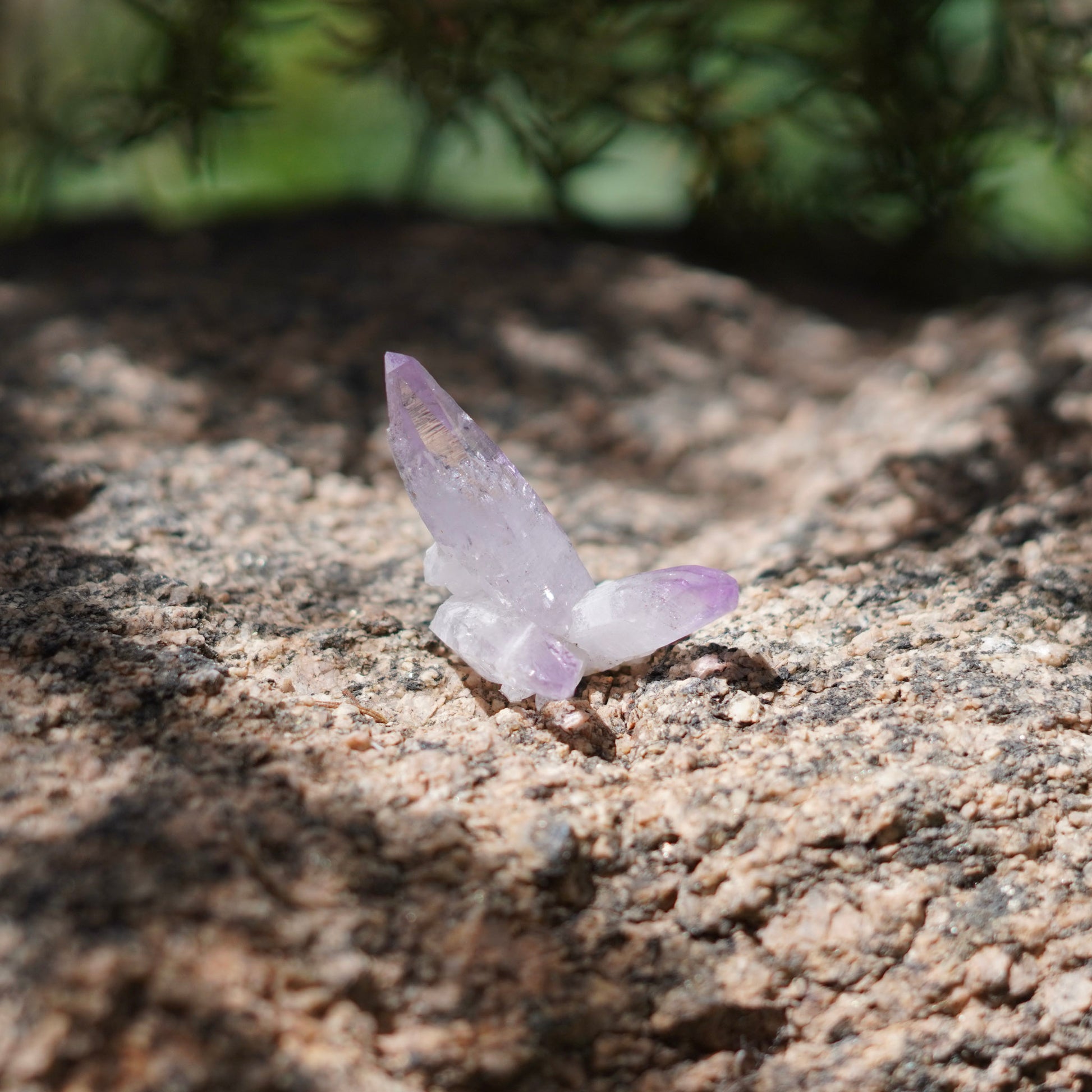 Veracruz Amethyst - Las Vigas De Ramirez, Veracruz, Mexico
