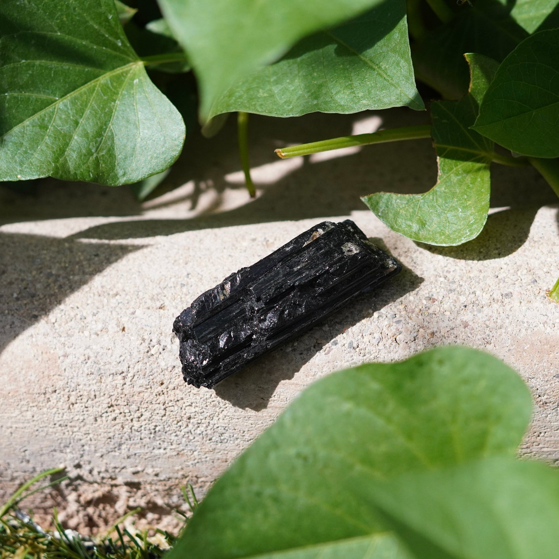 Set of 2 Black Tourmaline Crystals from Brazil