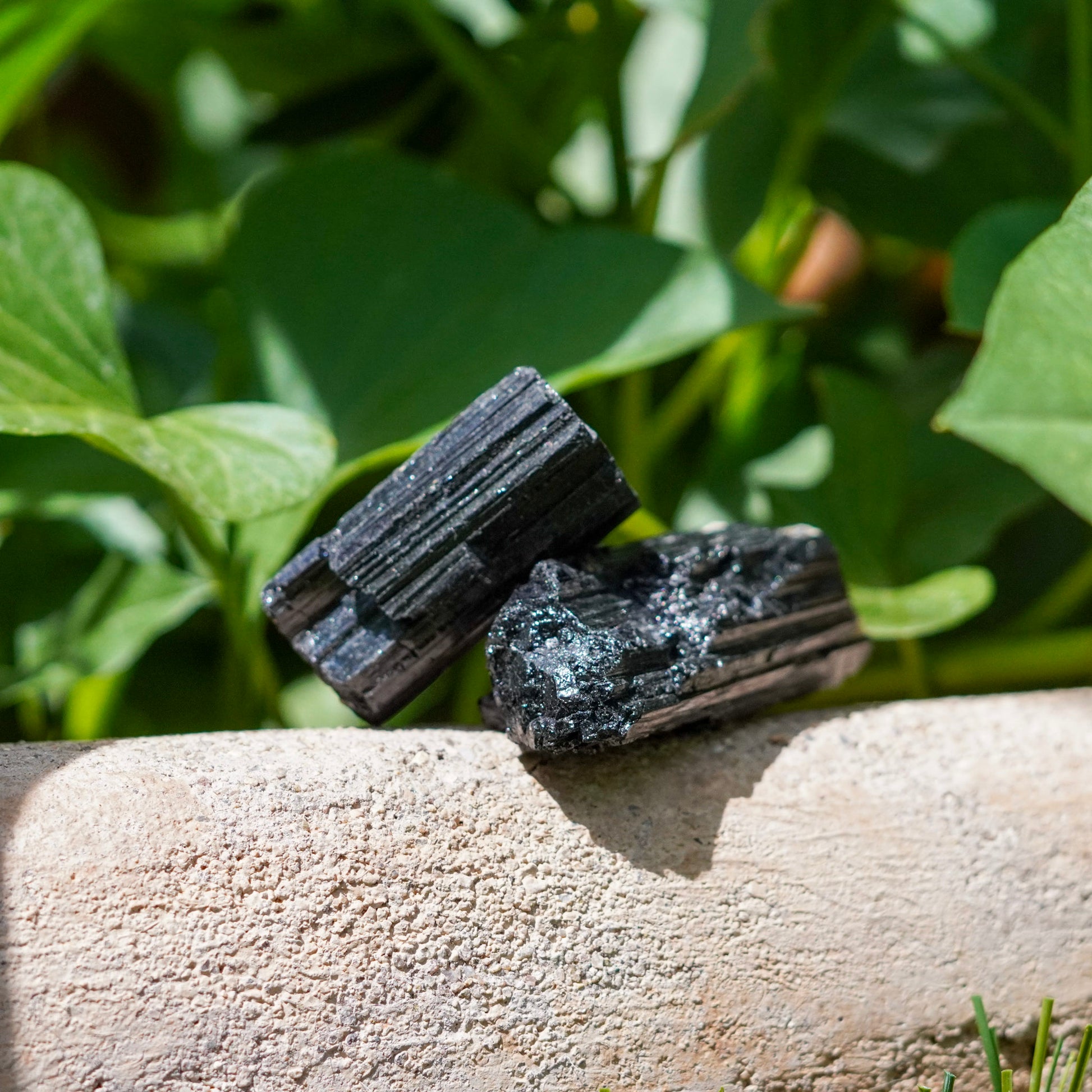 Set of 2 Black Tourmaline Crystals from Brazil