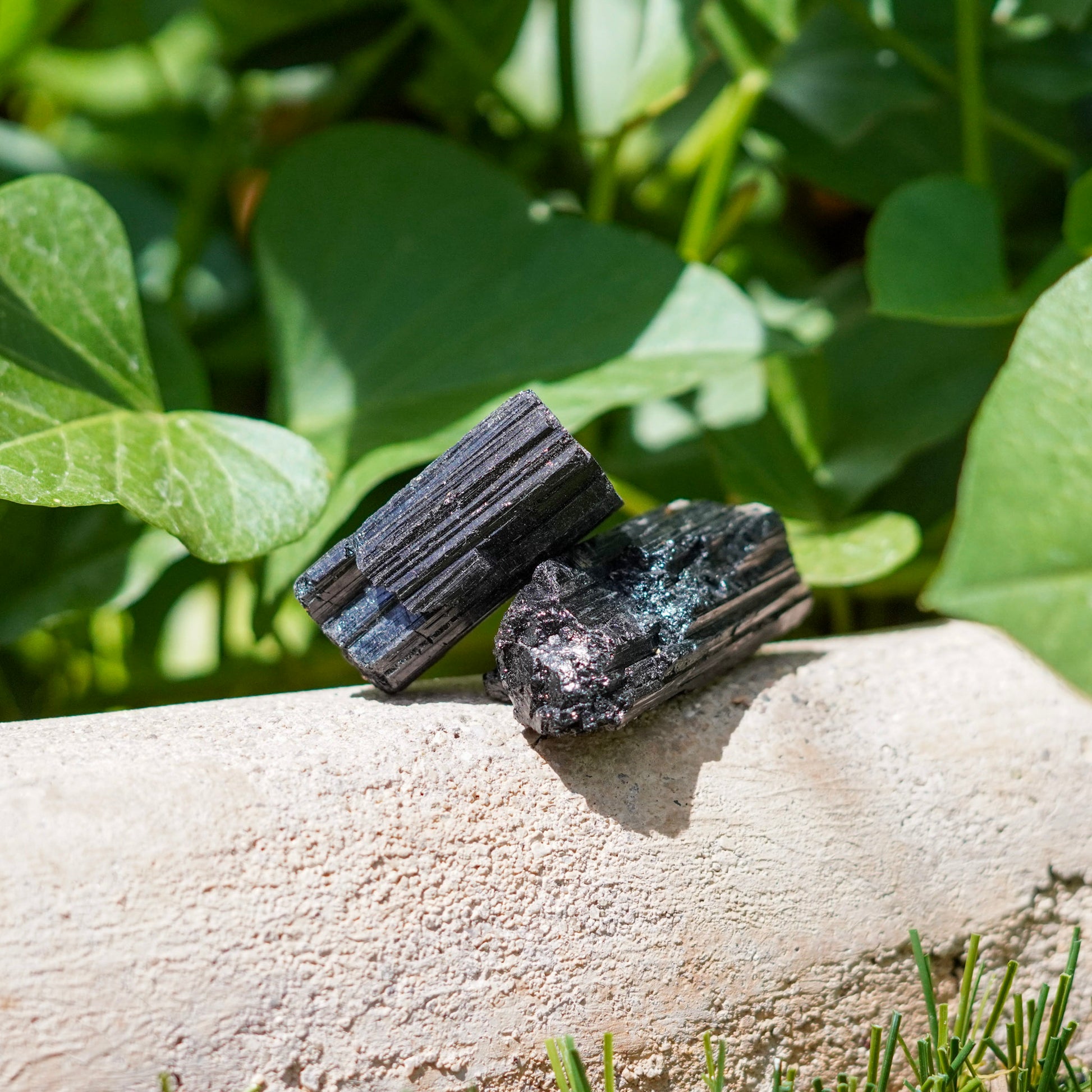 Set of 2 Black Tourmaline Crystals from Brazil