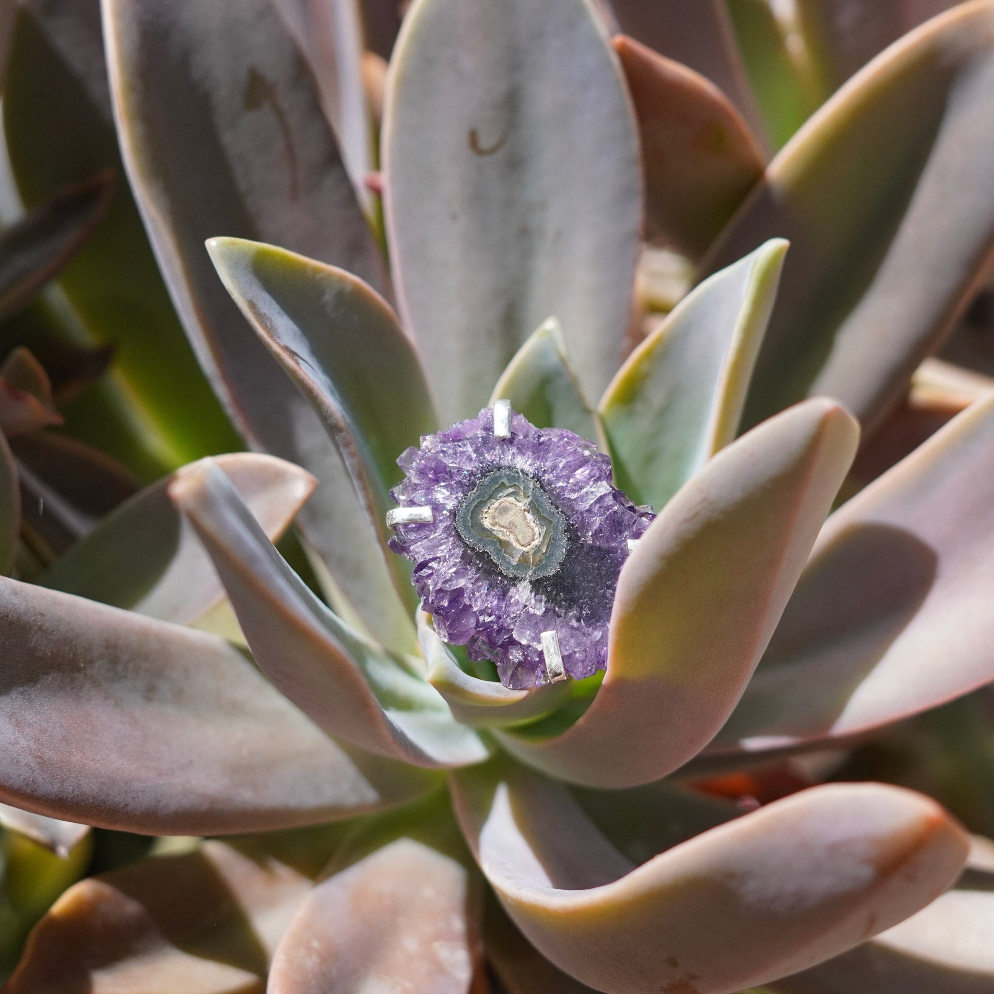Brazilian Amethyst Stalactite Adjustable Rings