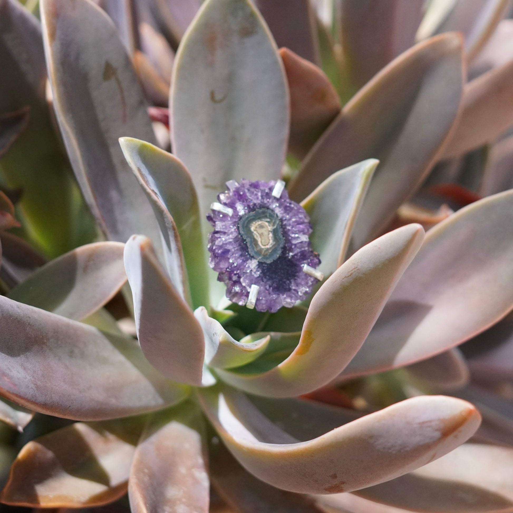 Brazilian Amethyst Stalactite Adjustable Rings