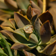 5 Carat Rare Rainbow Lattice Sunstone