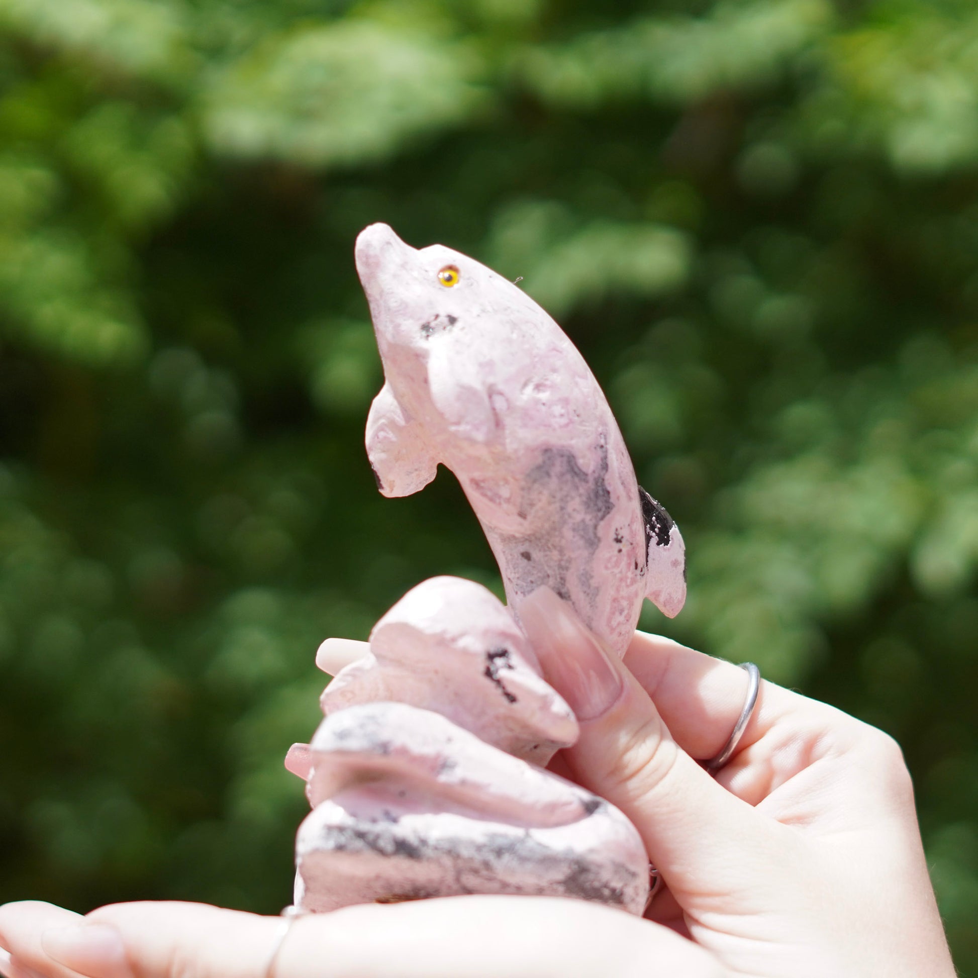 Rhodonite Dolphin Stone Carving