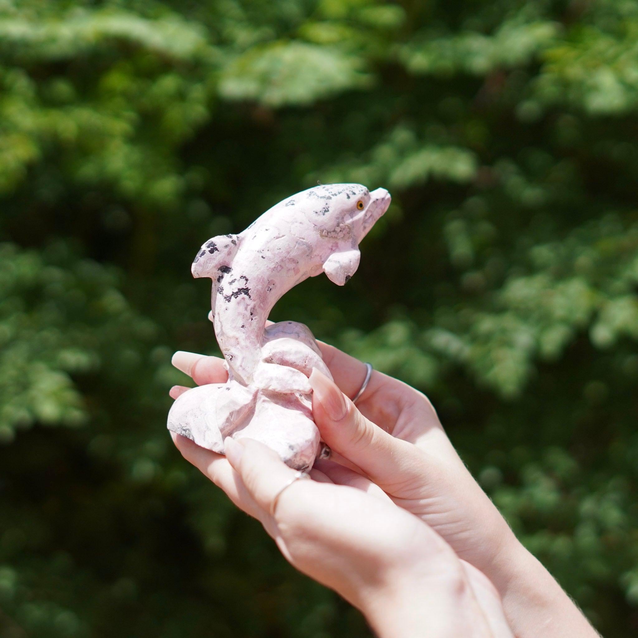 Rhodonite Dolphin Stone Carving