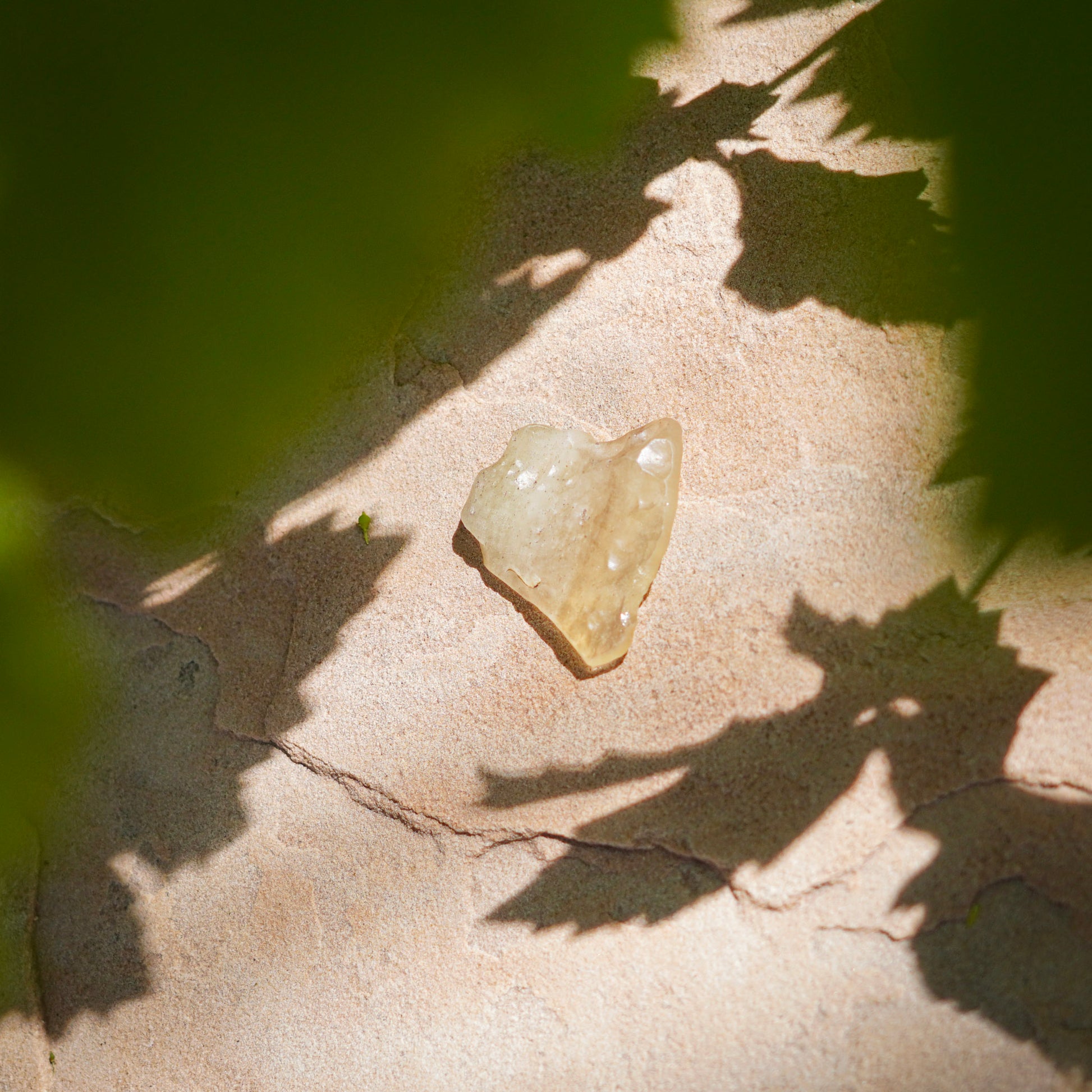 Libyan Desert Glass Specimens