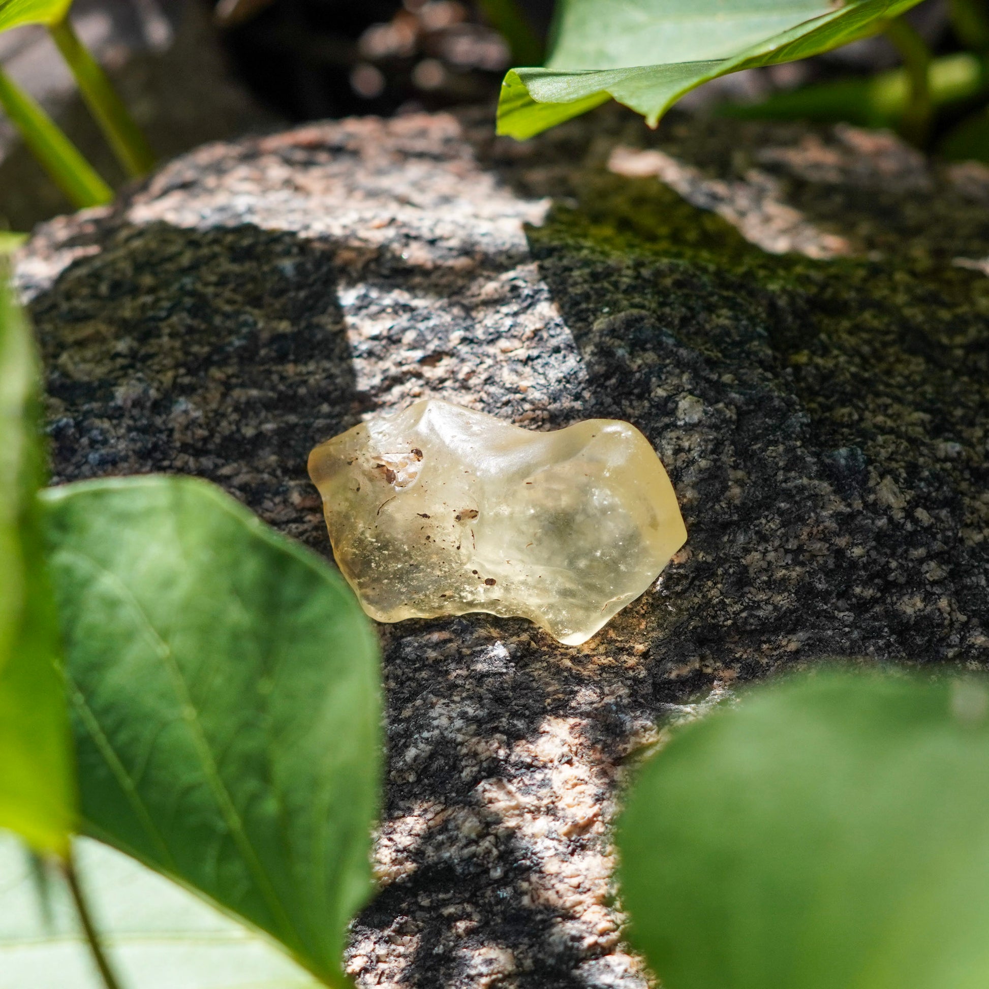 Libyan Desert Glass Specimens