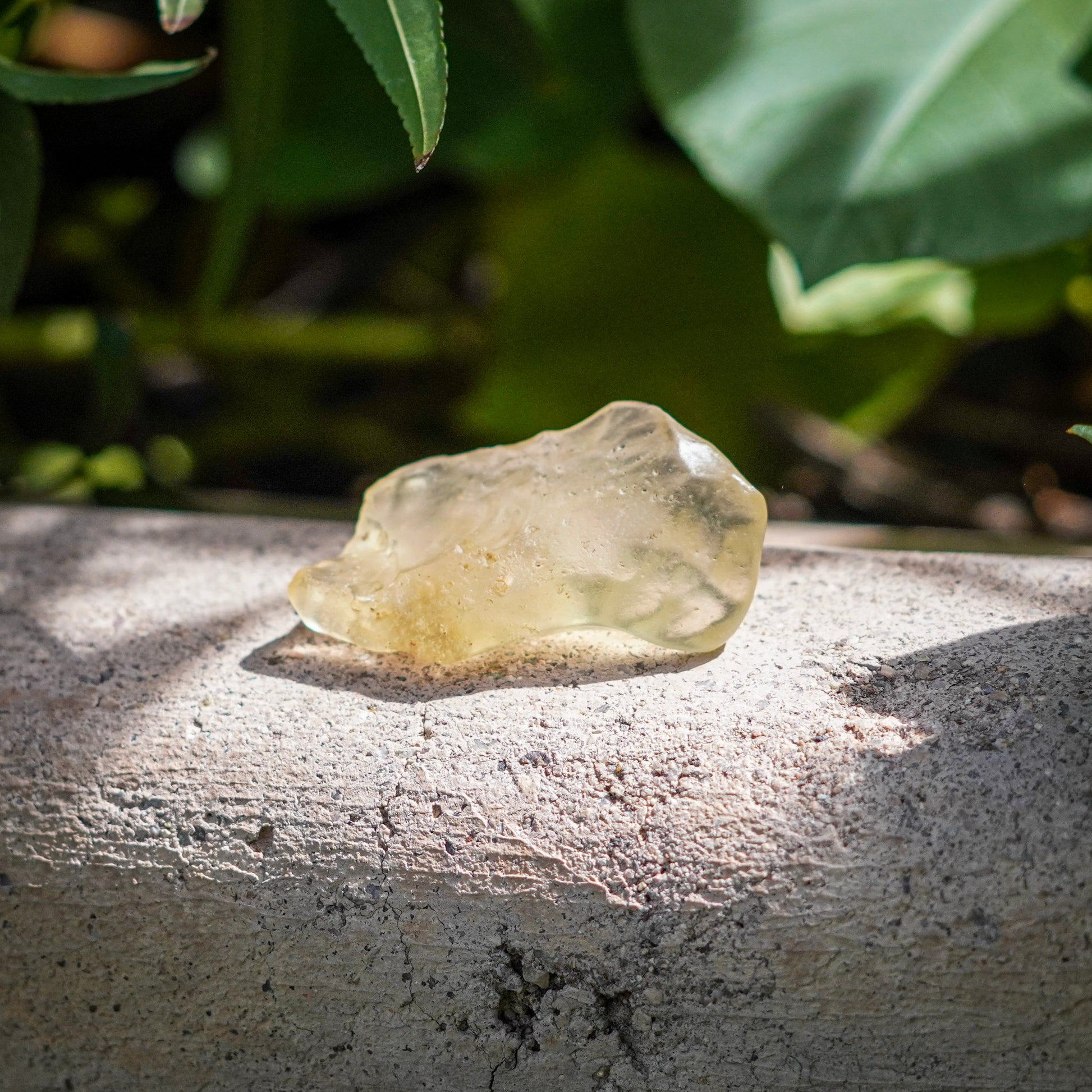 Libyan Desert Glass Specimens