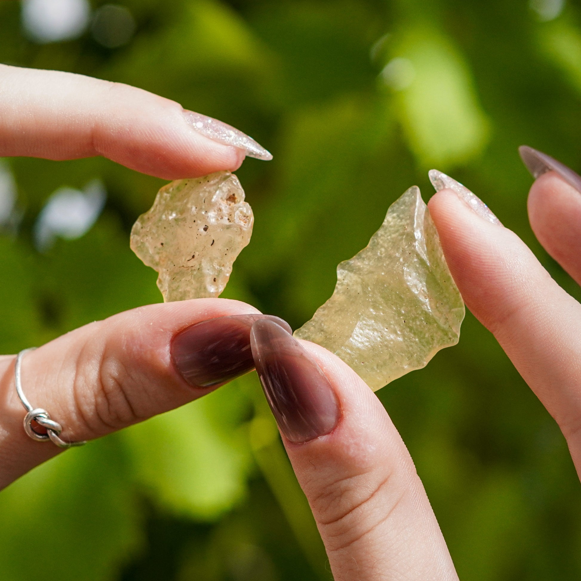 Libyan Desert Glass Specimens
