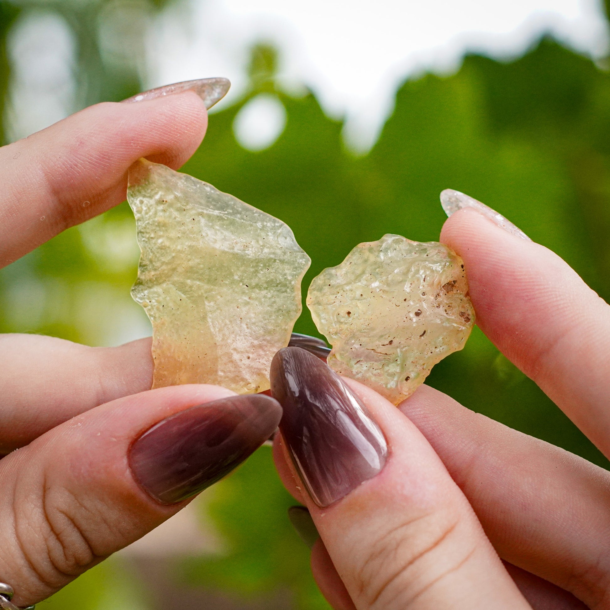 Libyan Desert Glass Specimens