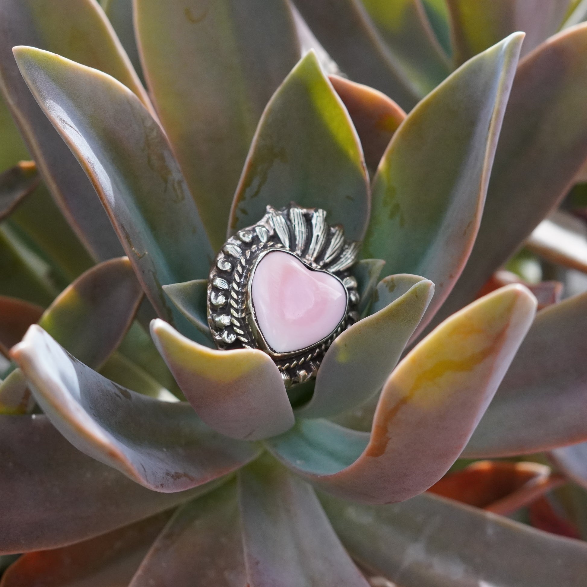 Pink Coral Heart Pendant Charm