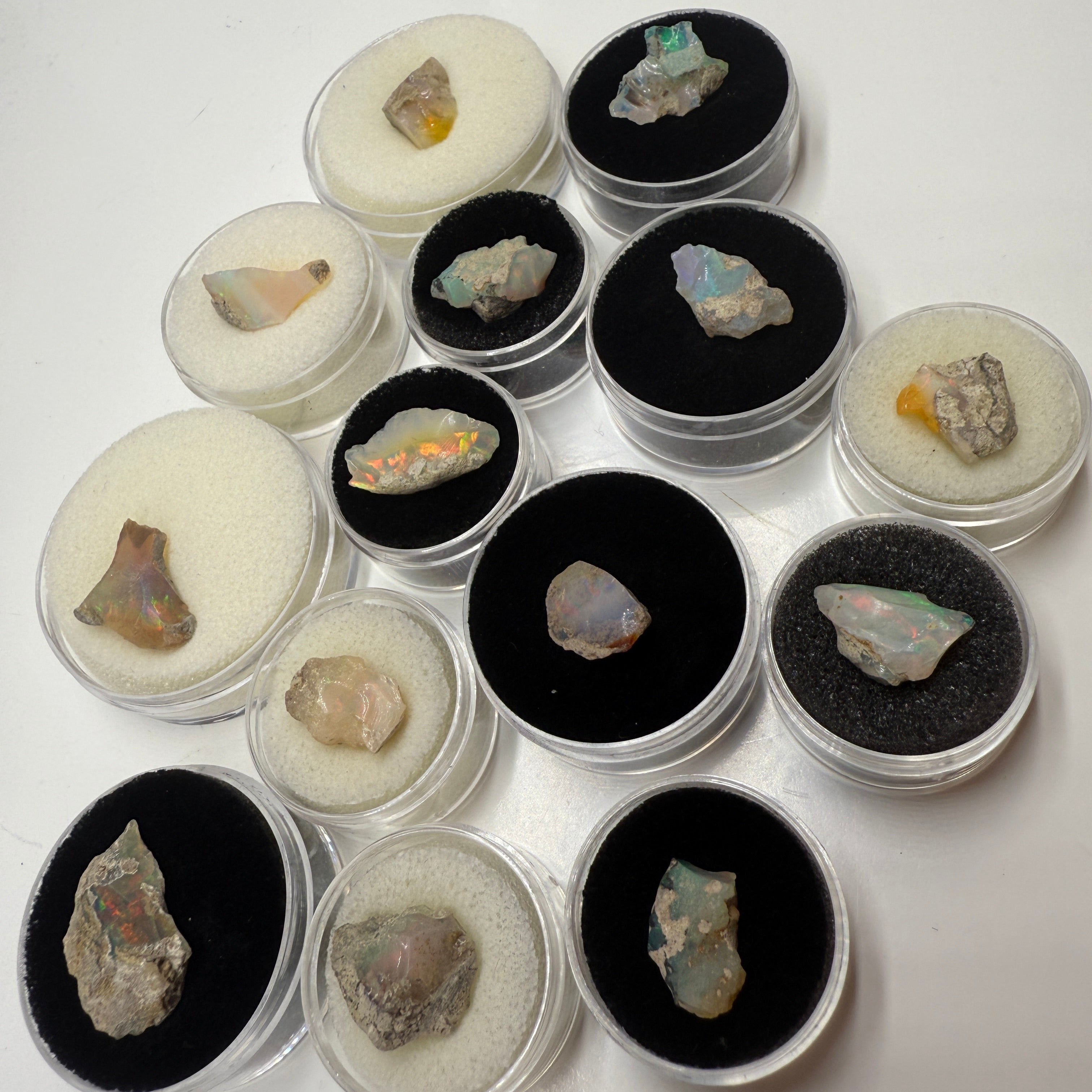 Rainbow Flash Raw Ethiopian Opal Stones in Collectors Case 5 Carats Each