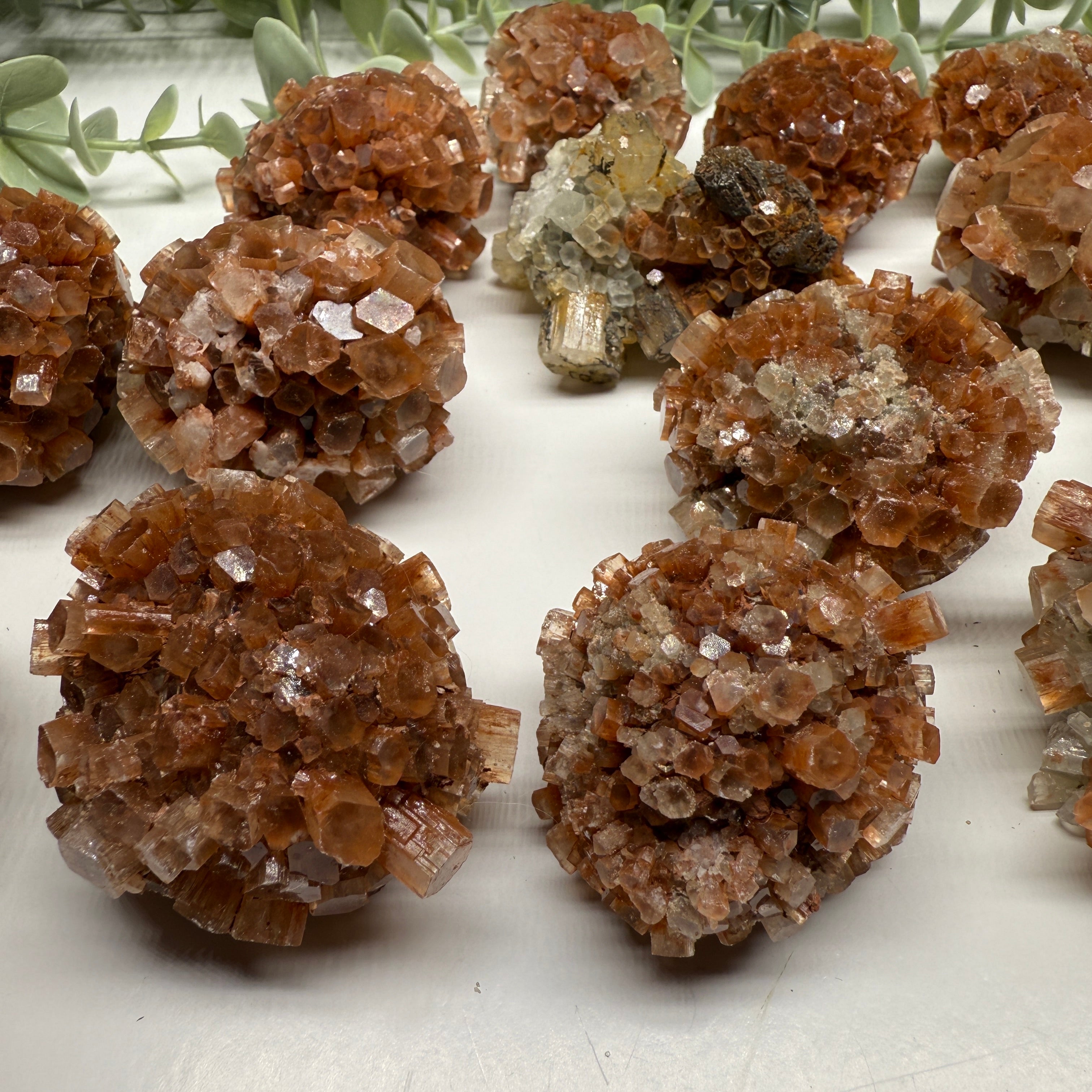 One Star Aragonite Cluster