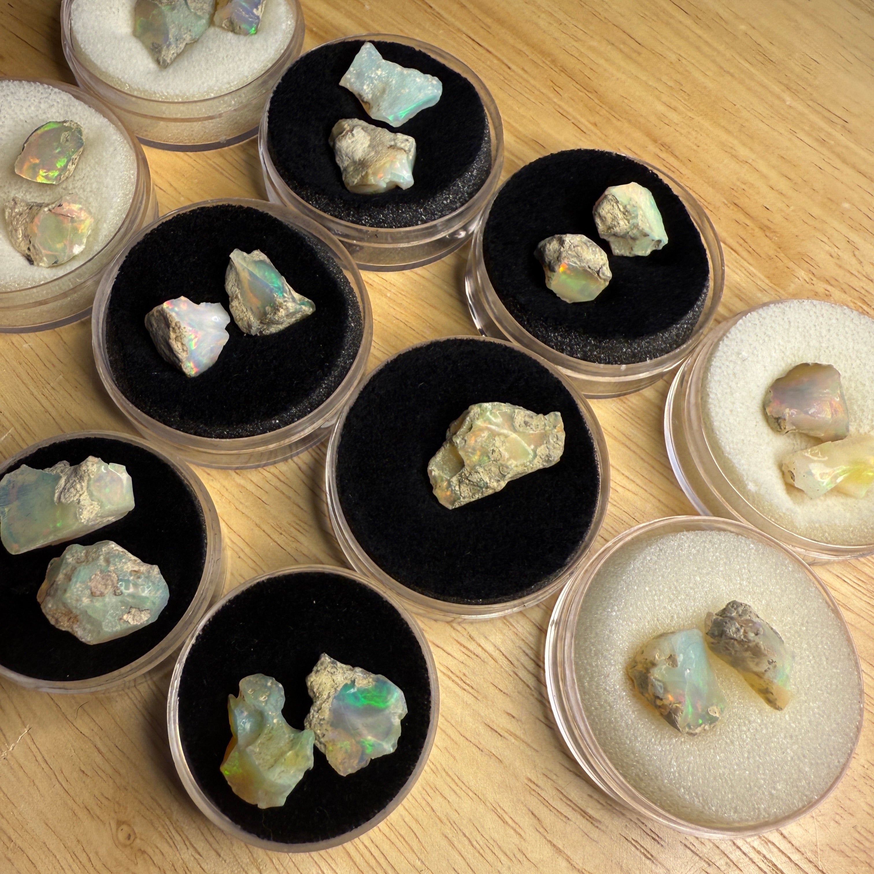 Mixed Rough Beautiful Ethiopian Opal Stones in Collector Box 15 Carats Each