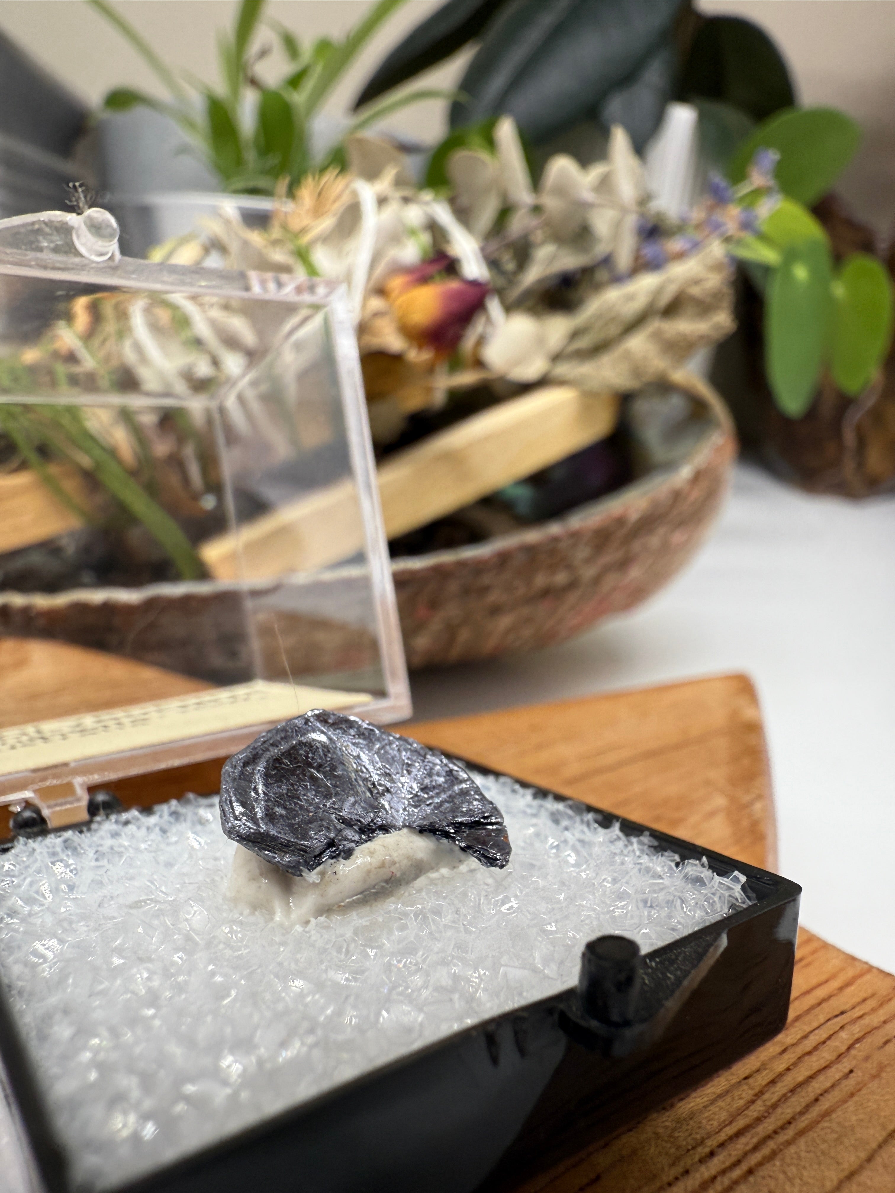 Molybdenite Hematite from Australia