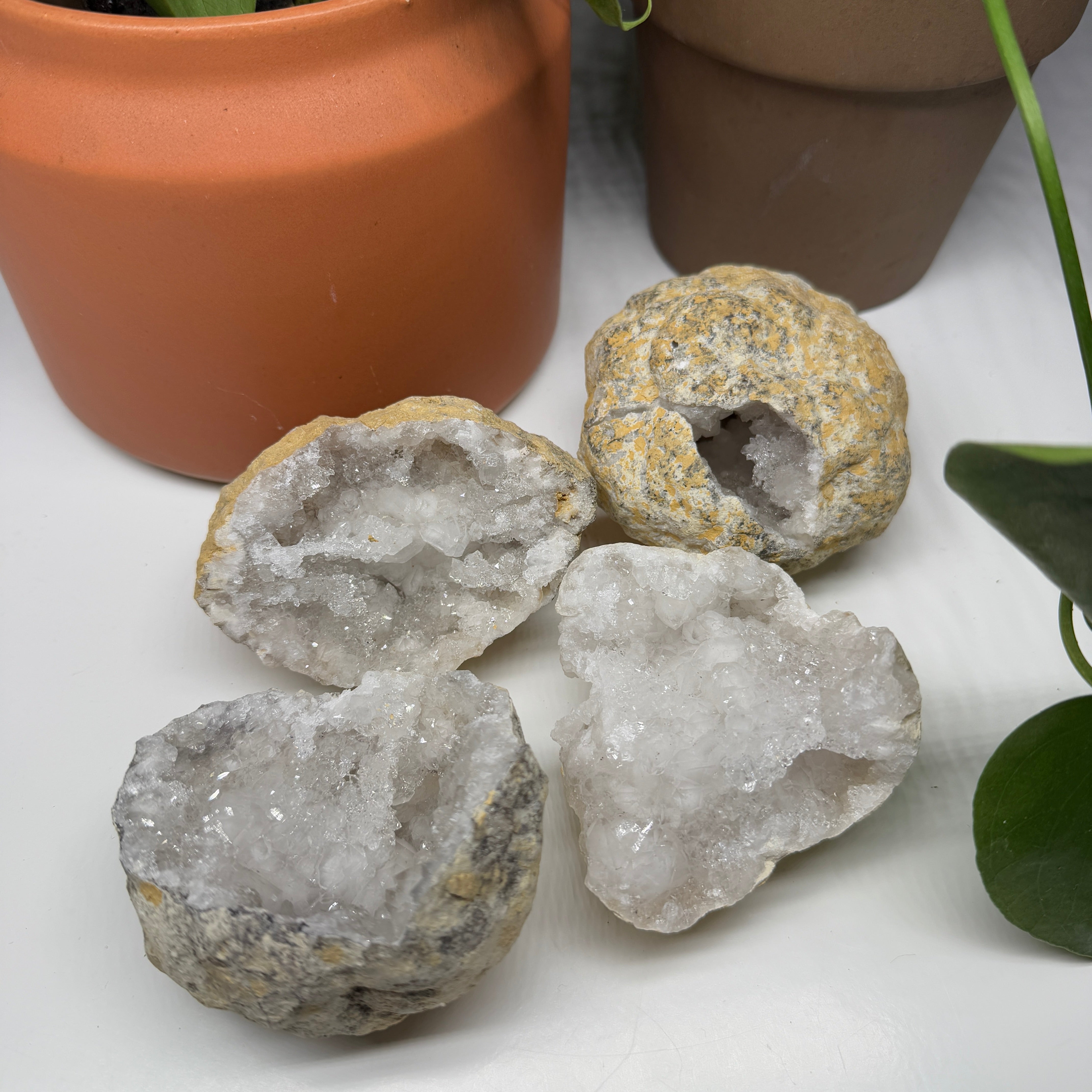 One Morroccon Geode Whole / Cracked with Dazzling Micro Quartz Inside