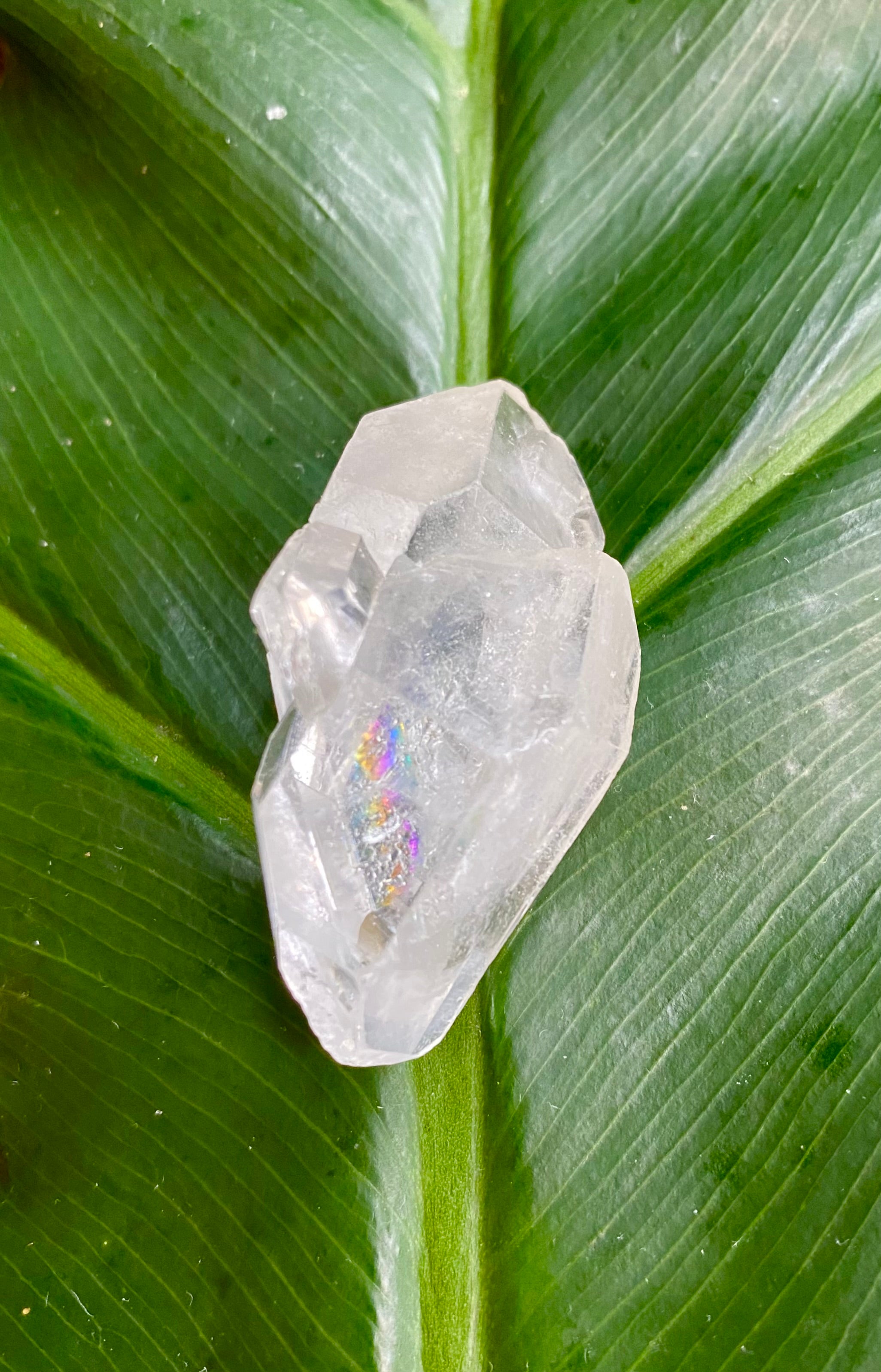 Quad Terminated Ultra Clear Quartz Specimen with Rainbows from Brazil