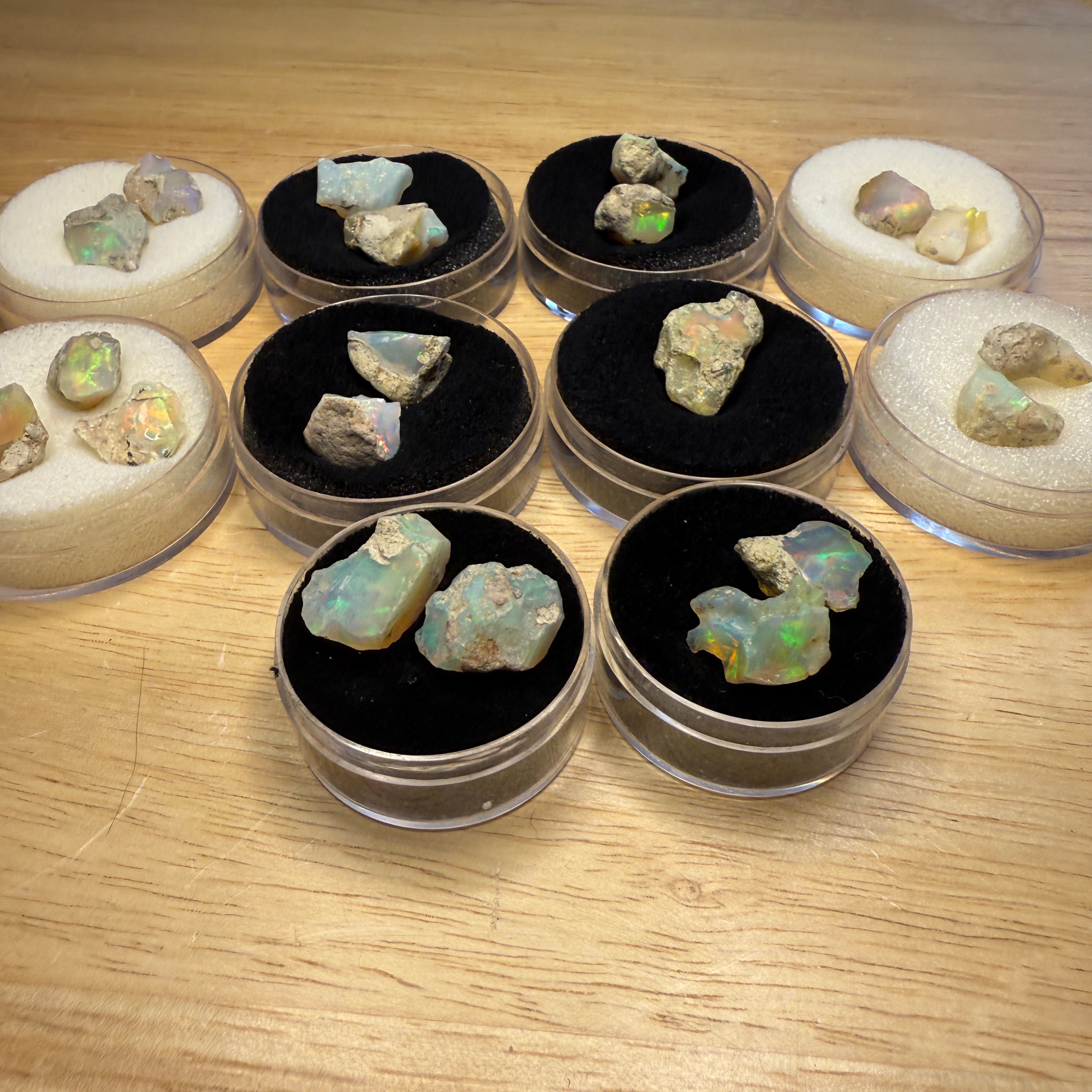Mixed Rough Beautiful Ethiopian Opal Stones in Collector Box 15 Carats Each