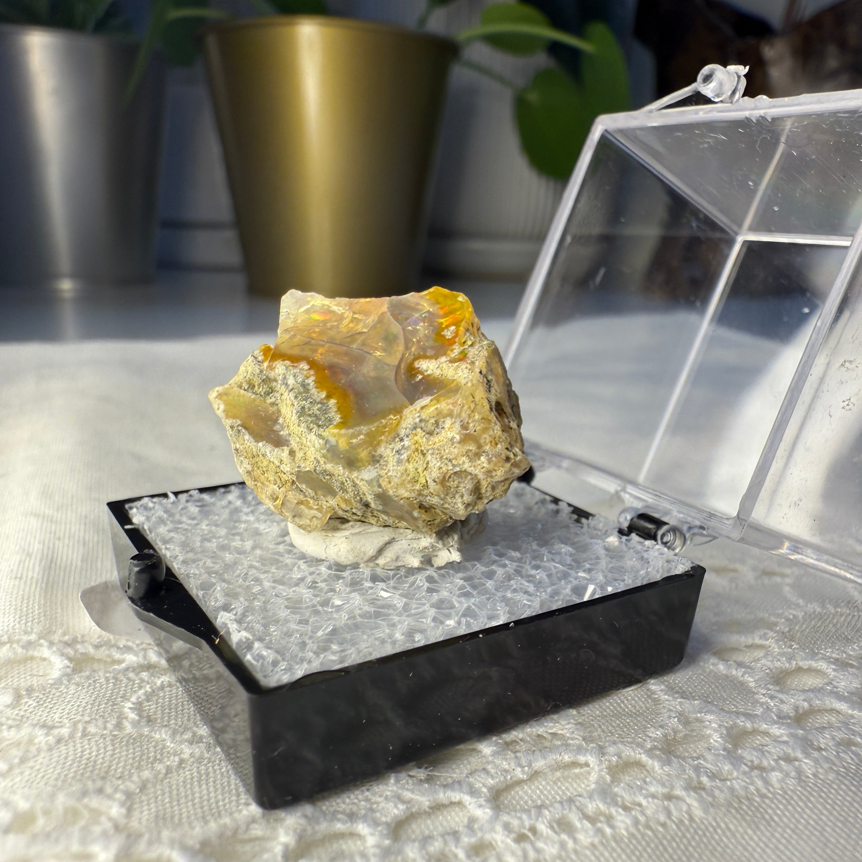 31 Carat Ethiopian Opal Raw Specimen in Collectors Case