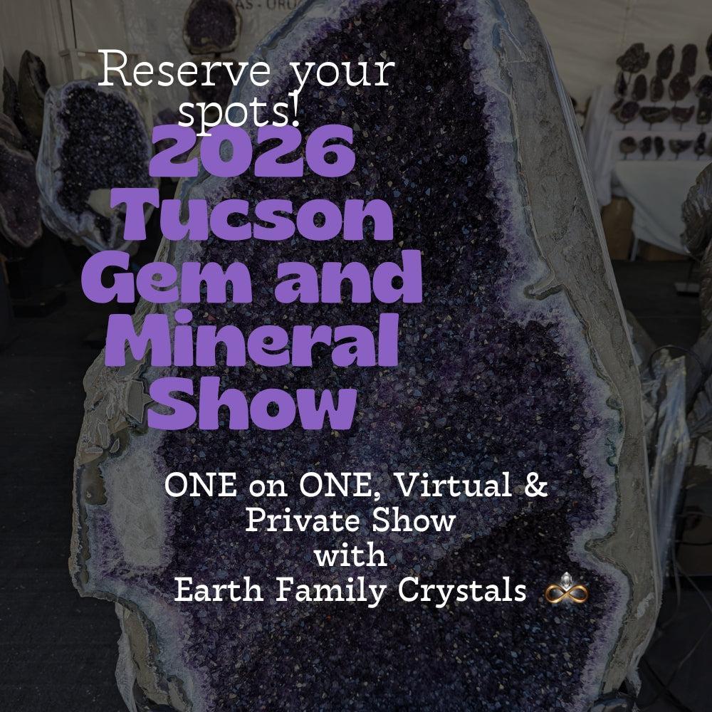Book Your Session! Virtual Shopping Experience 2026 Tucson Gem and Mineral Shows One on One Zoom Appointment