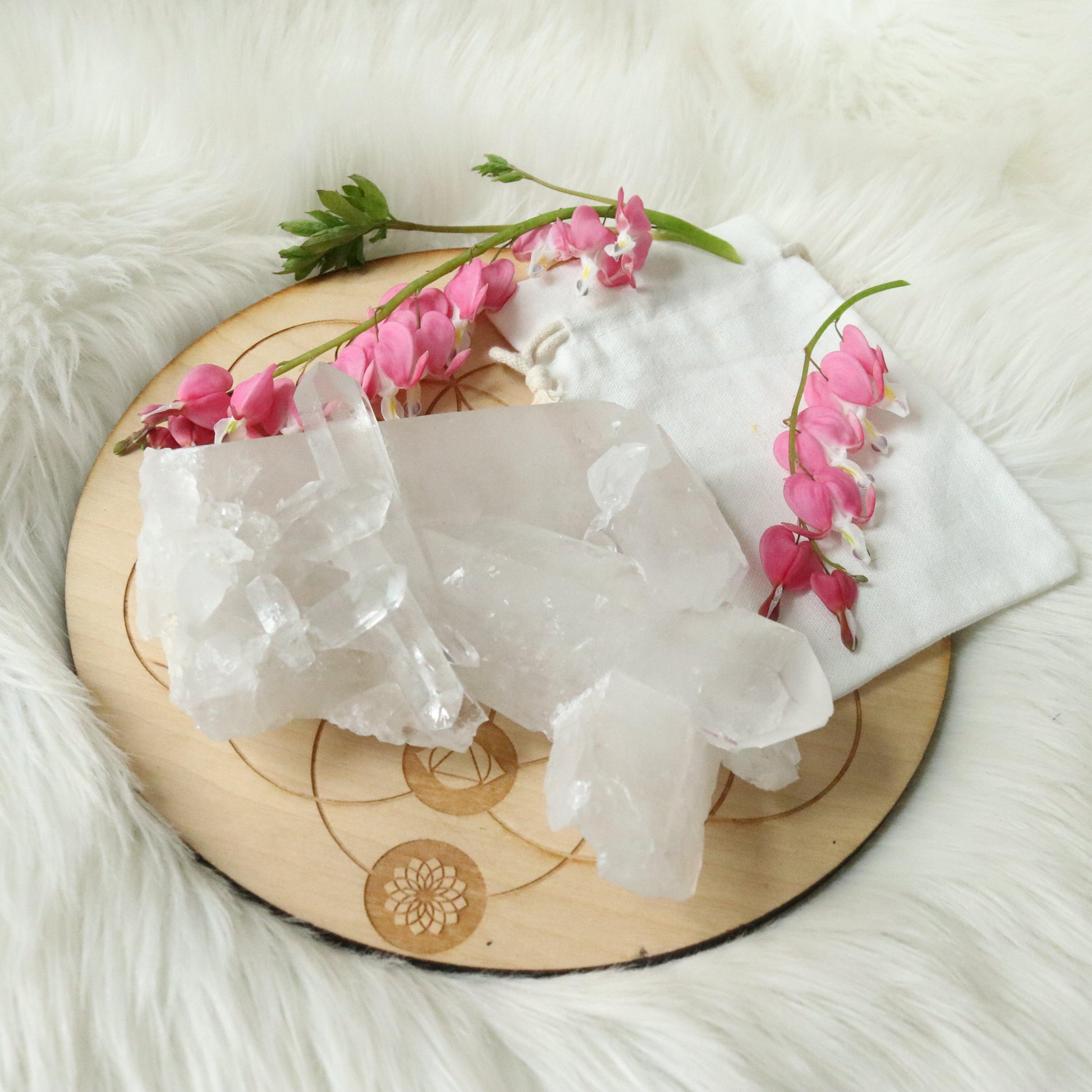 Large Tabby Clear Quartz Cluster Grade A from Brazil~ - Earth Family Crystals