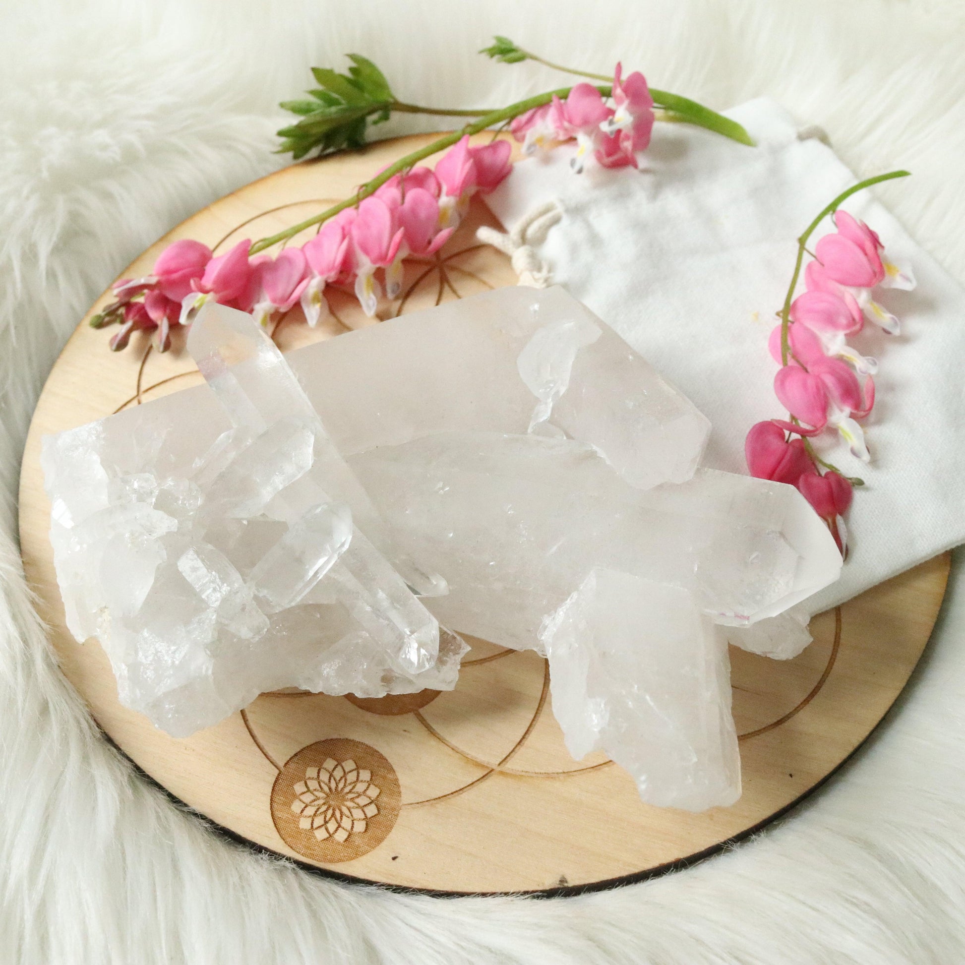 Large Tabby Clear Quartz Cluster Grade A from Brazil~ - Earth Family Crystals