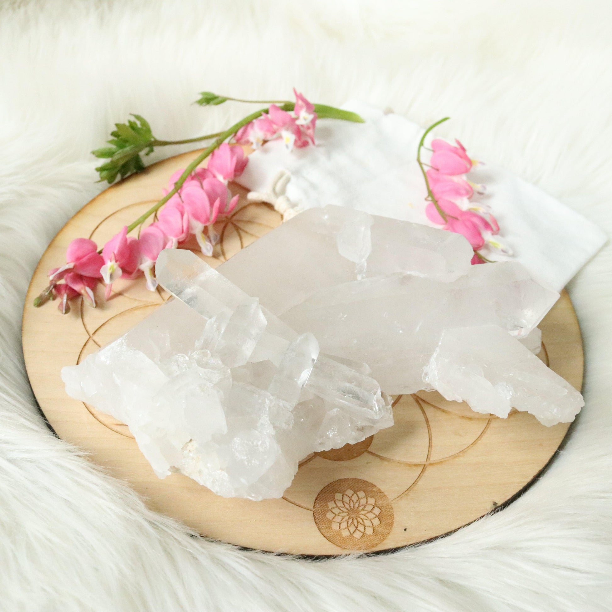 Large Tabby Clear Quartz Cluster Grade A from Brazil~ - Earth Family Crystals