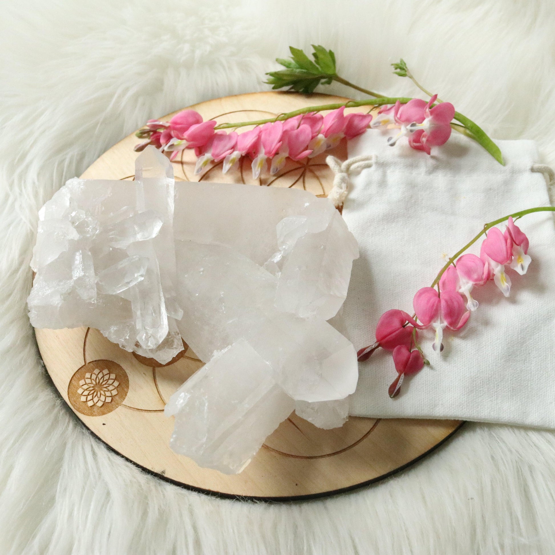 Large Tabby Clear Quartz Cluster Grade A from Brazil~ - Earth Family Crystals