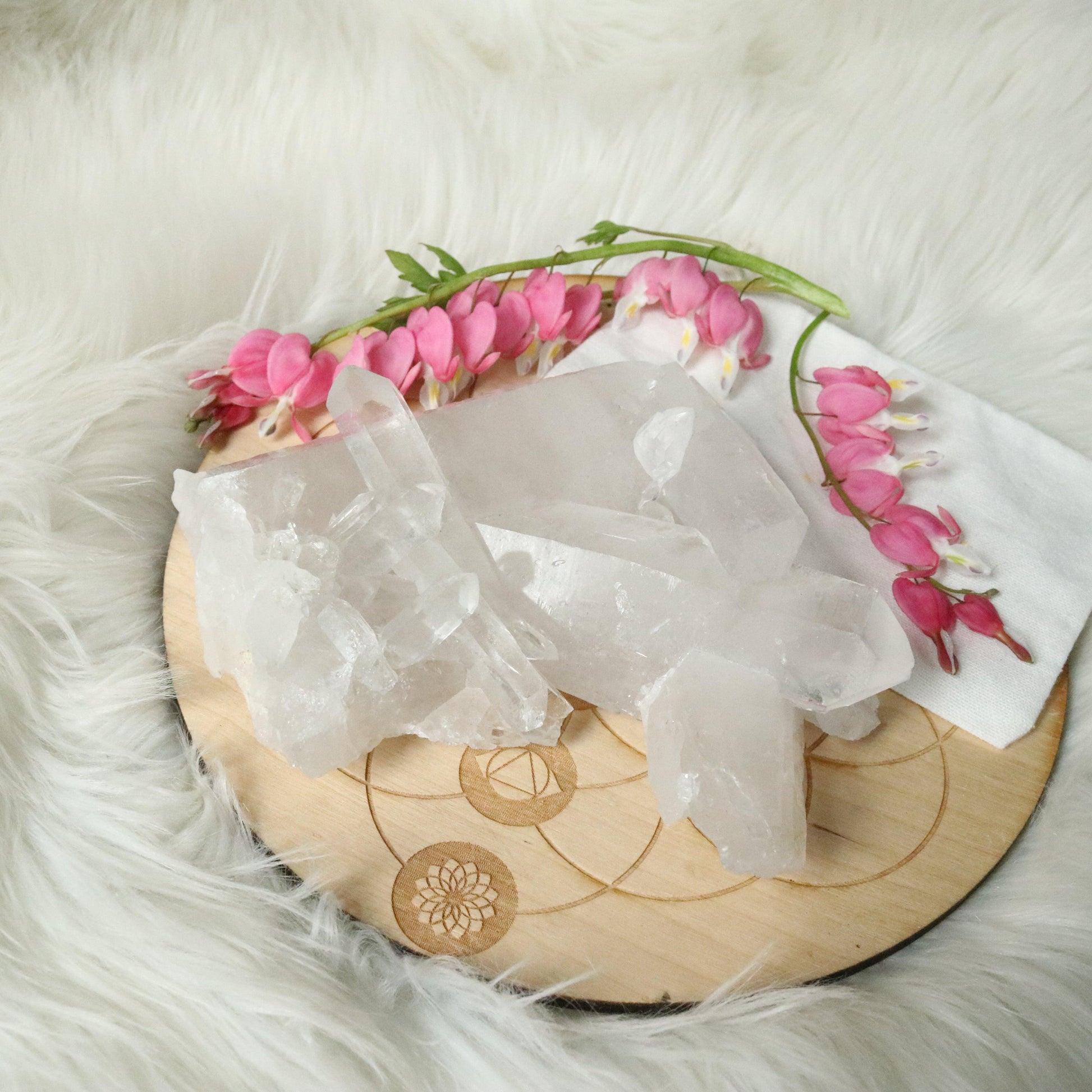 Large Tabby Clear Quartz Cluster Grade A from Brazil~ - Earth Family Crystals