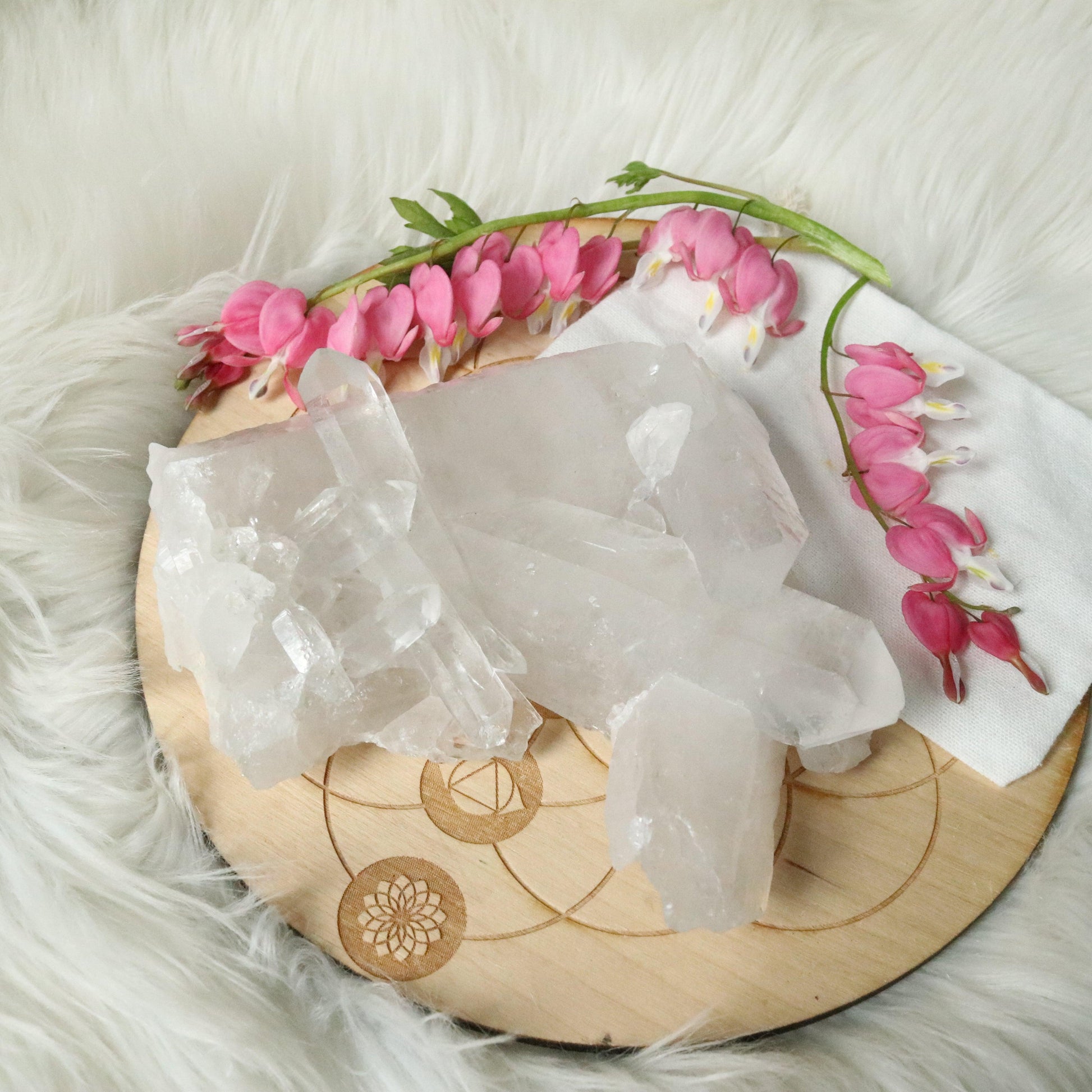 Large Tabby Clear Quartz Cluster Grade A from Brazil~ - Earth Family Crystals