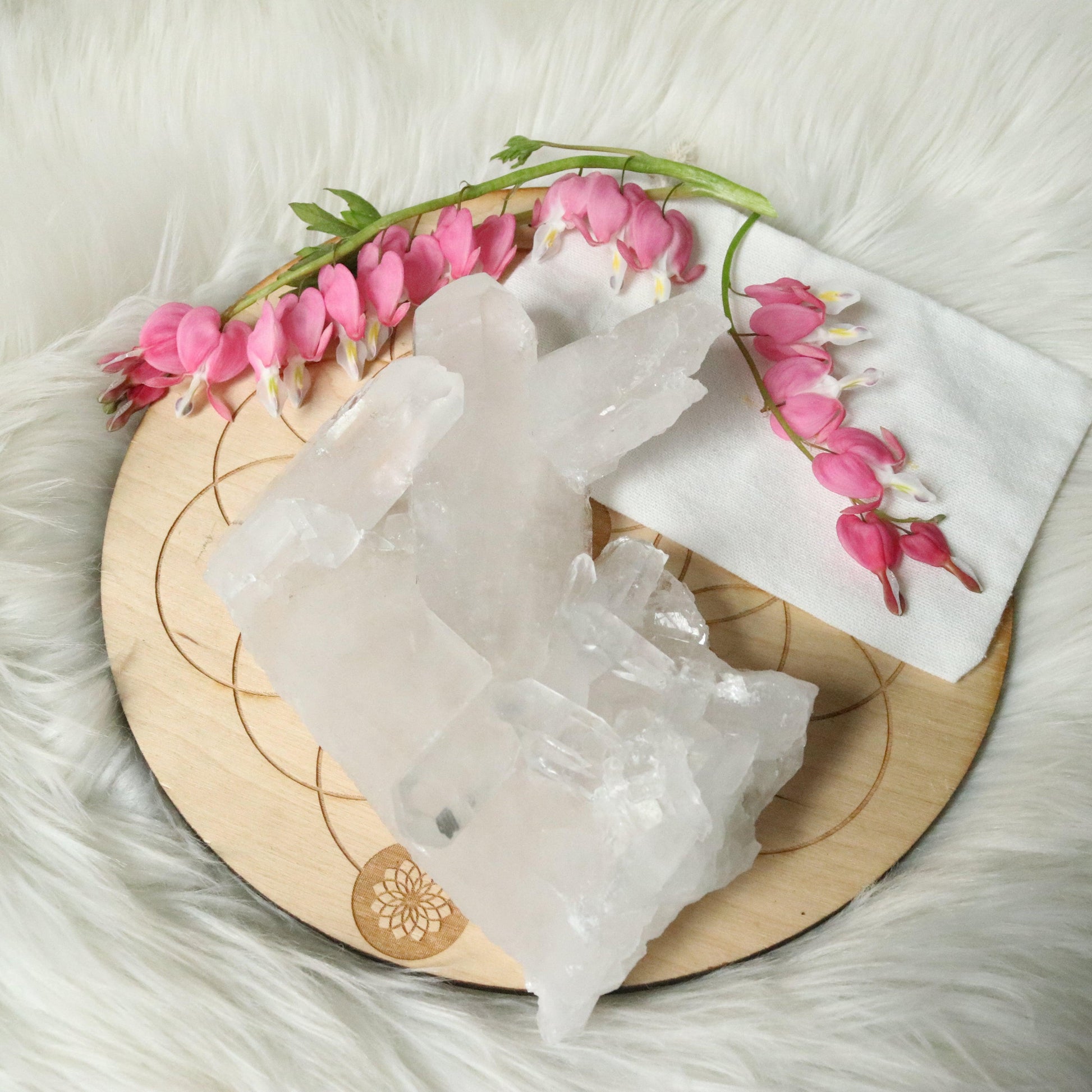 Large Tabby Clear Quartz Cluster Grade A from Brazil~ - Earth Family Crystals
