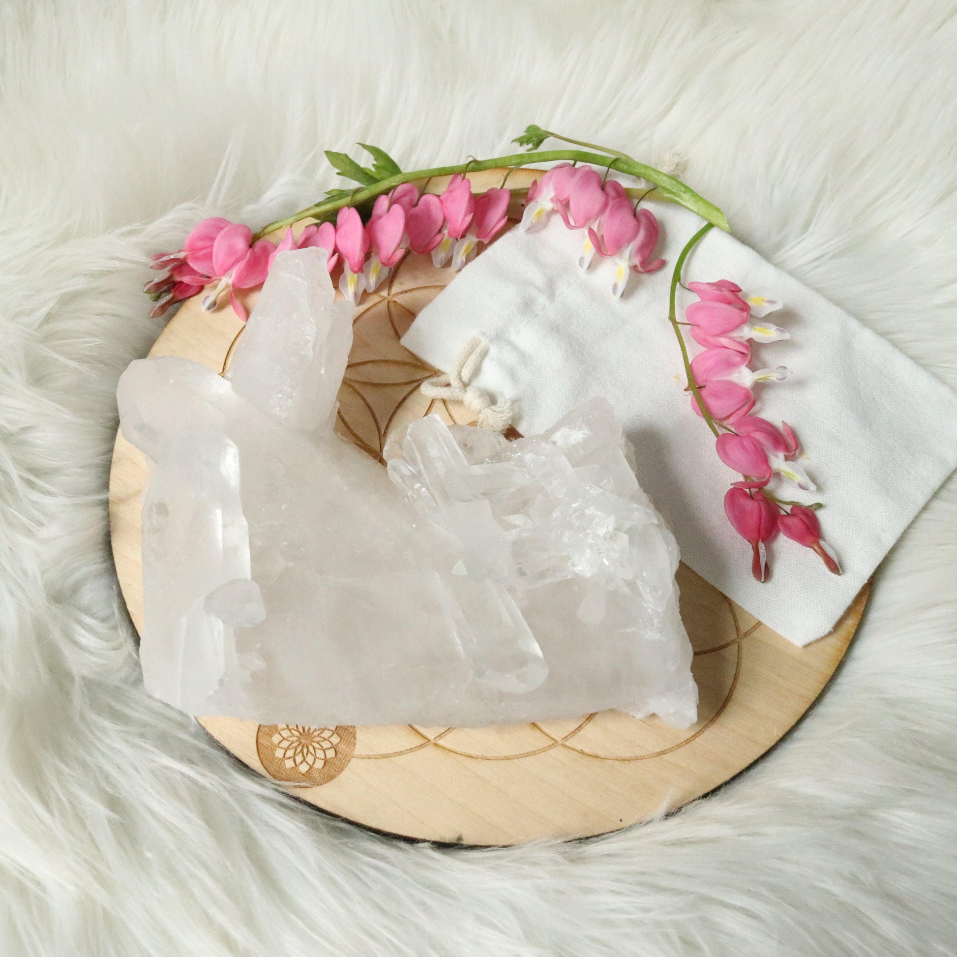 Large Tabby Clear Quartz Cluster Grade A from Brazil~ - Earth Family Crystals
